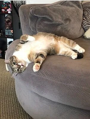 Karen3.jpg