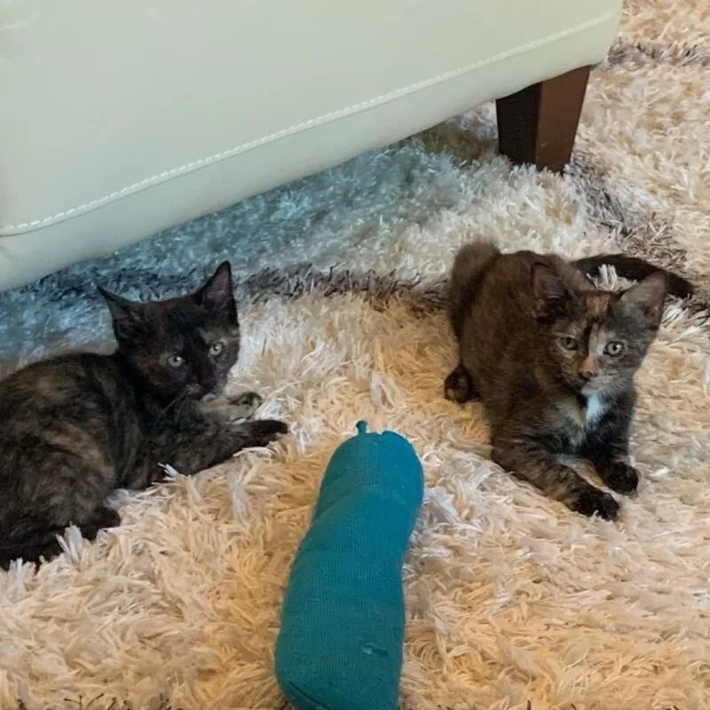 Susie and Mae (Copy)
