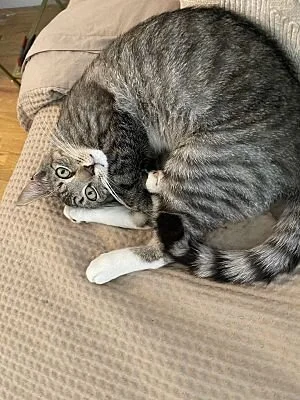 Miche3.jpg