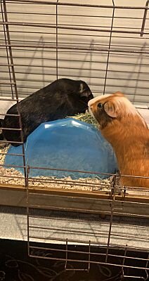 Alexis and Moira (Copy)
