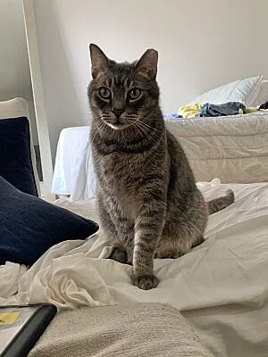 Billy (Copy)