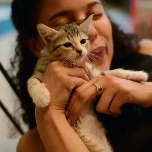Kitten-event-3.jpg
