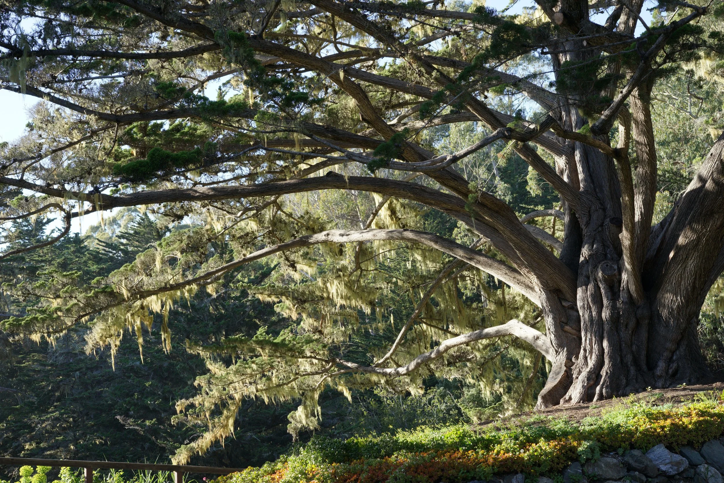 The Subtle Body &amp; Martial Arts: A Conversation from Esalen
