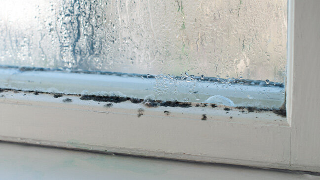 how-to-get-rid-of-condensation-136401084436002601-151015151845.jpg