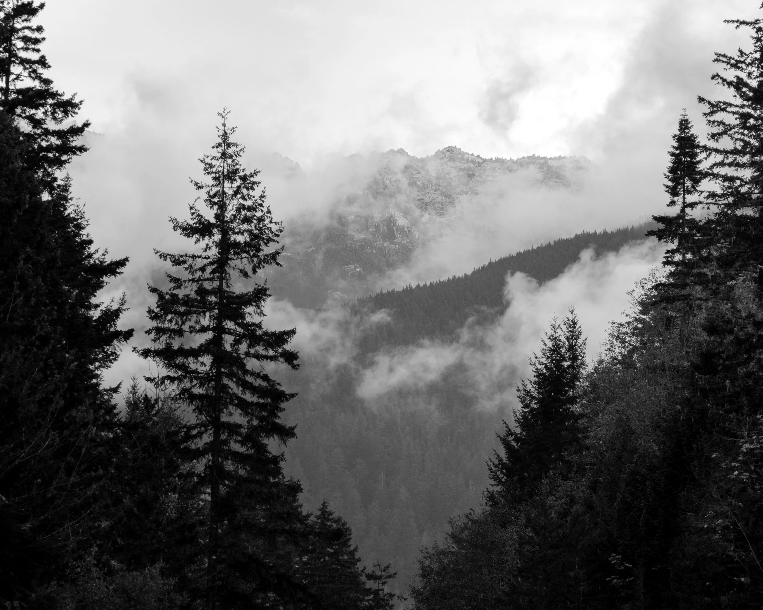 Hurricaine Ridge_01.jpg