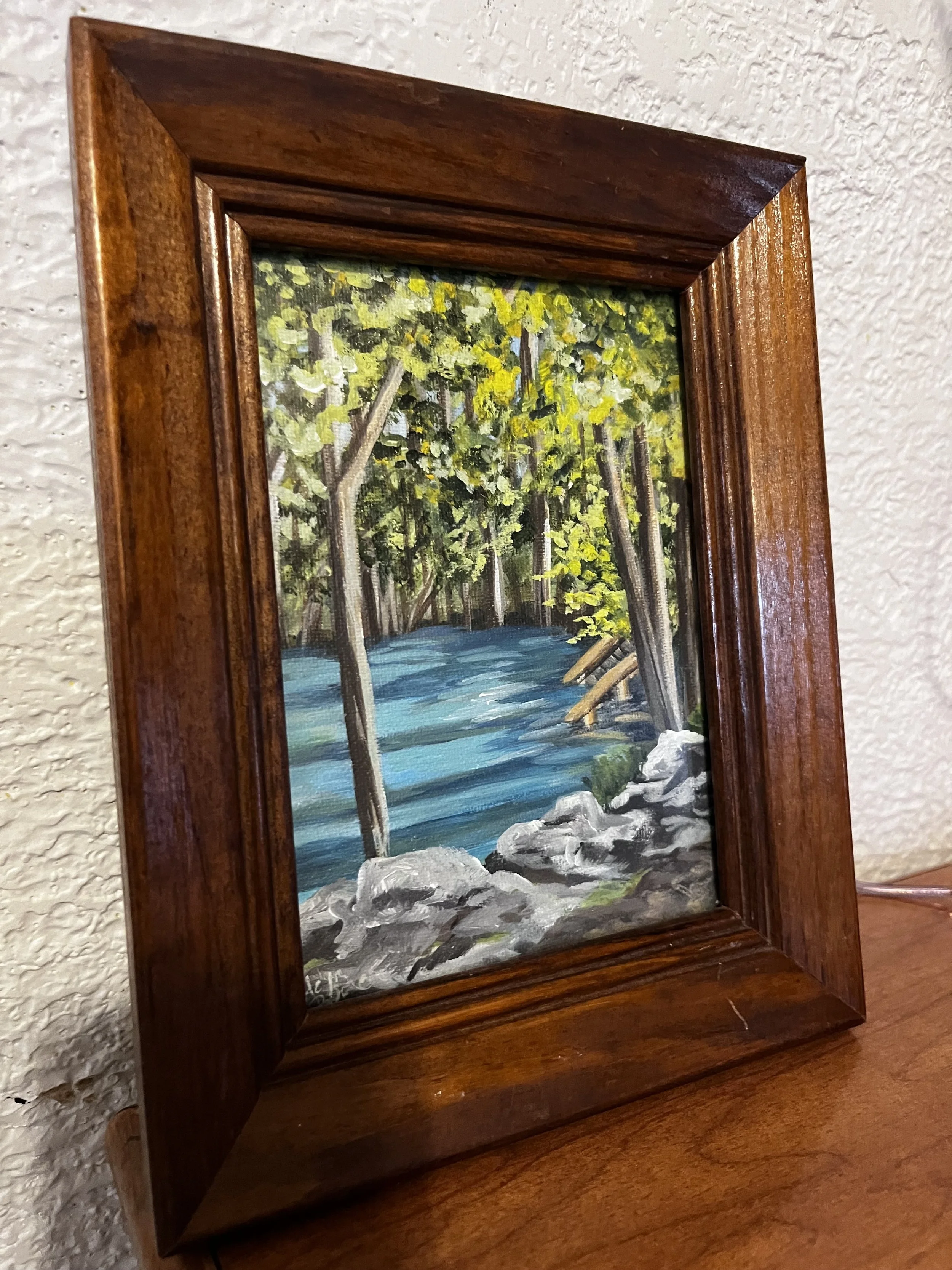 Ginnie Springs Florida