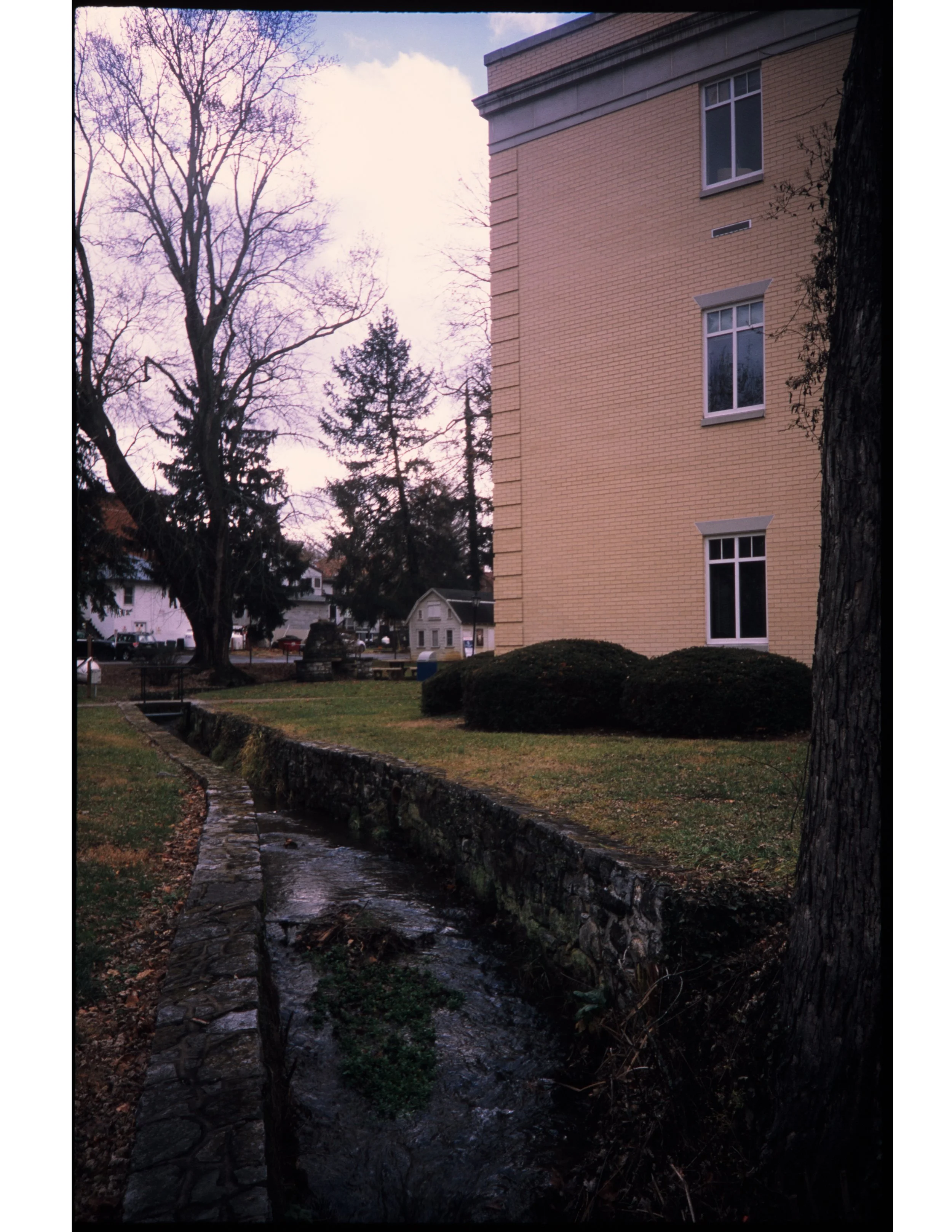 Vertical IG-1.jpg