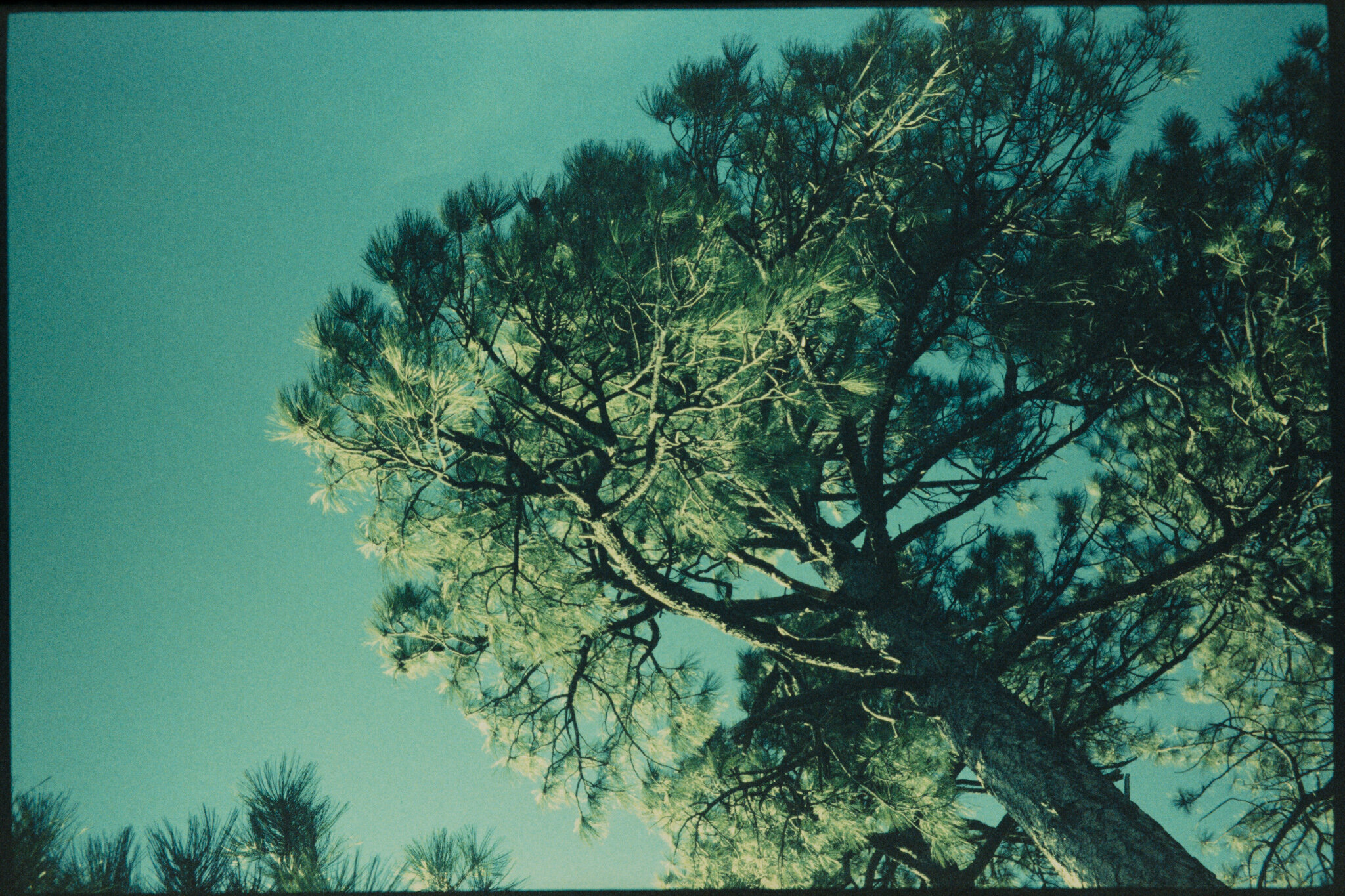 034A8333.jpg