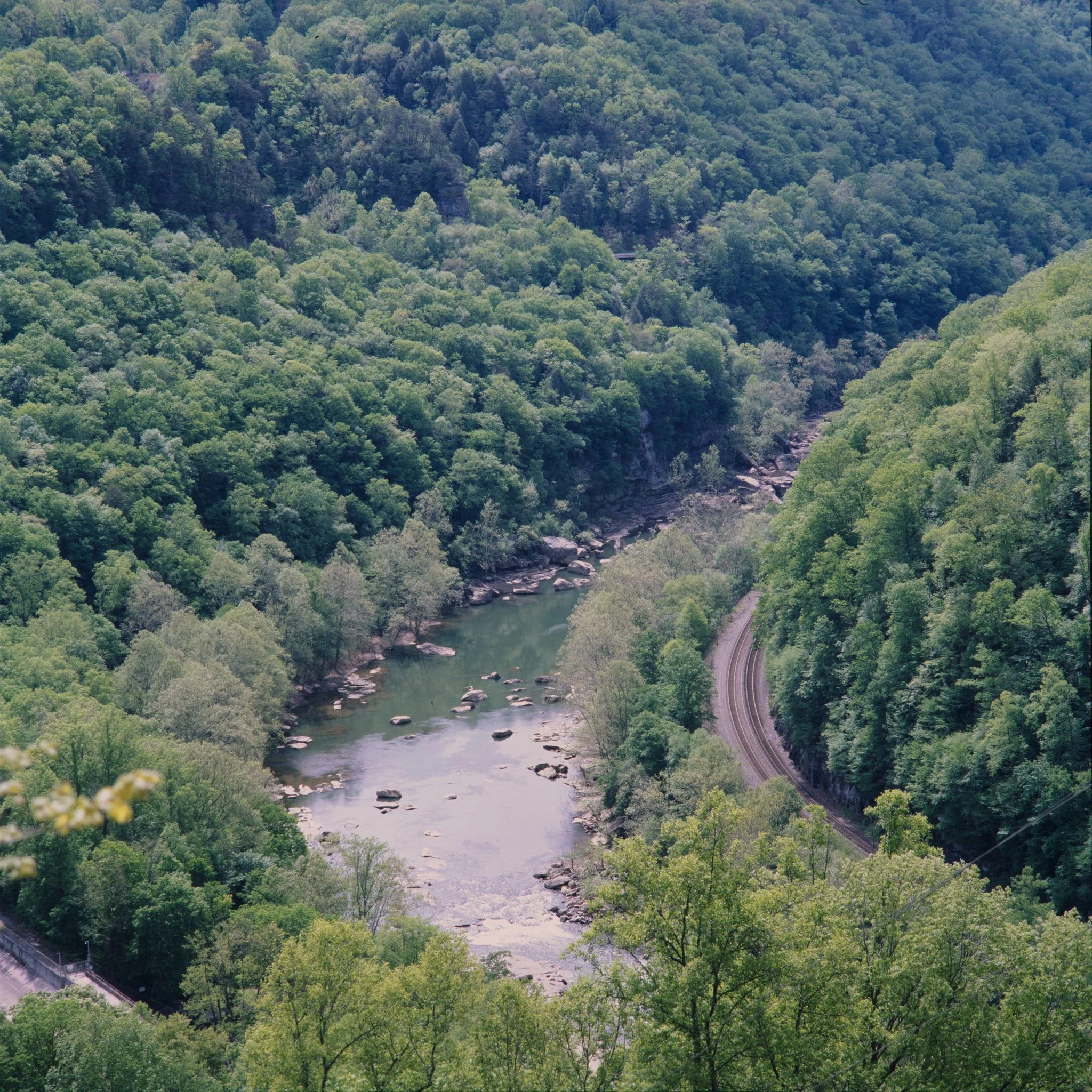 034A8675.jpg