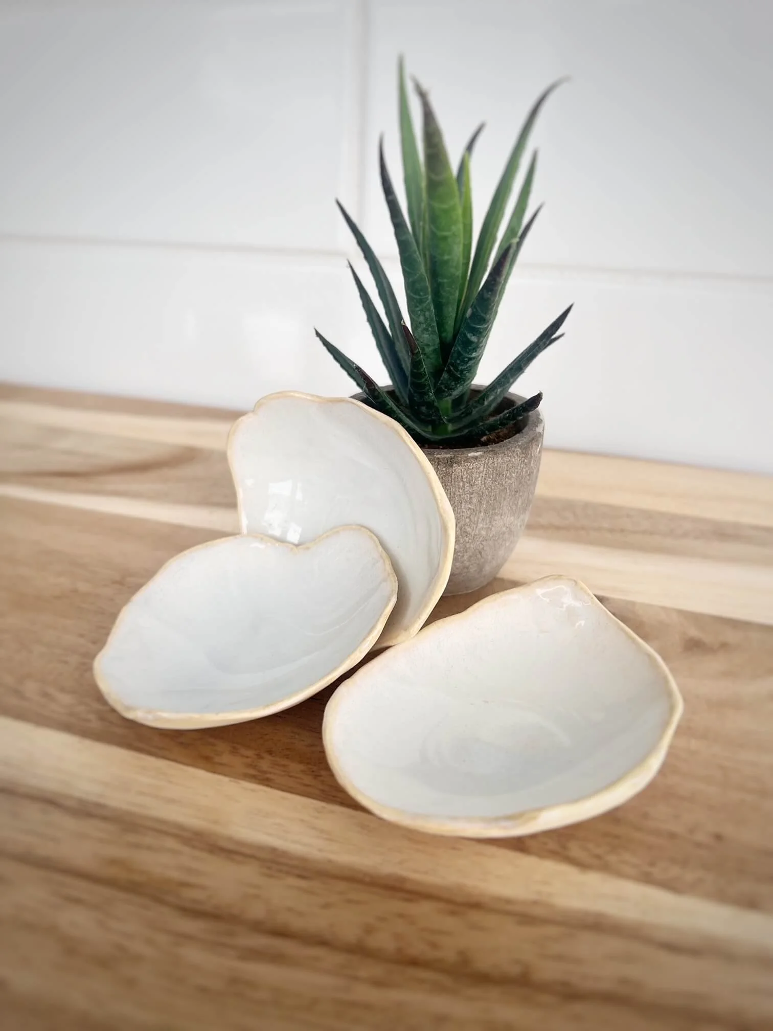 Palm Shells.JPG