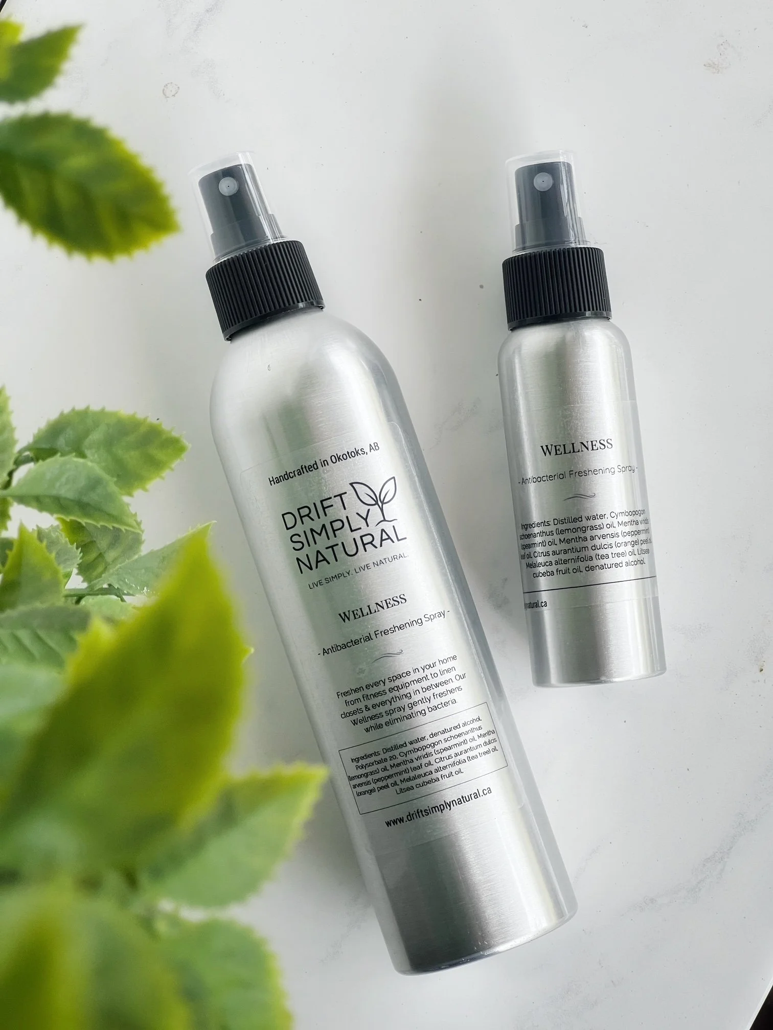 Wellness Antibacterial Spray