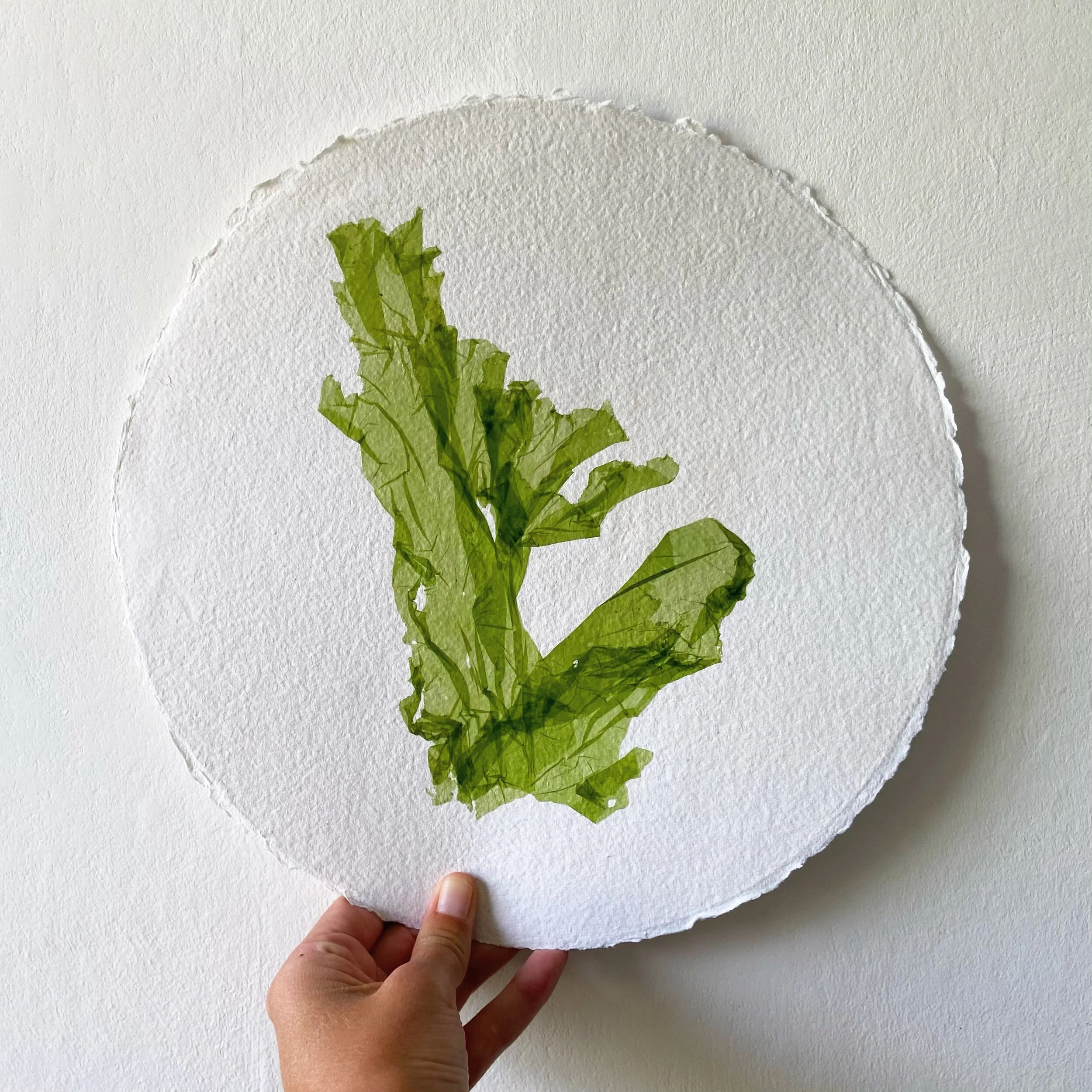 9B397EAA-416B-4D87-A3F8-A85D2FD6474E