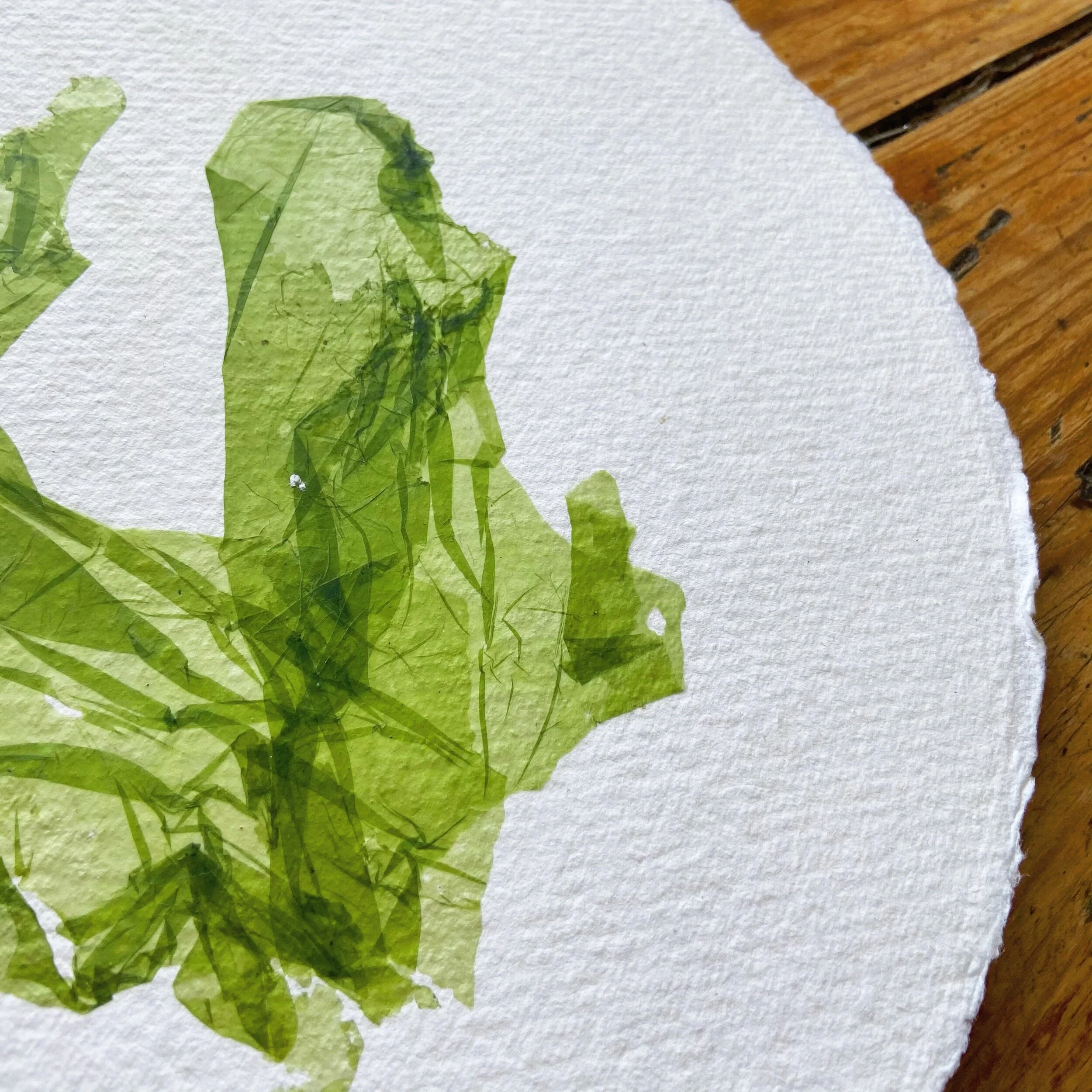 7873729F-7A47-45CB-B557-39AAF7A96C8C