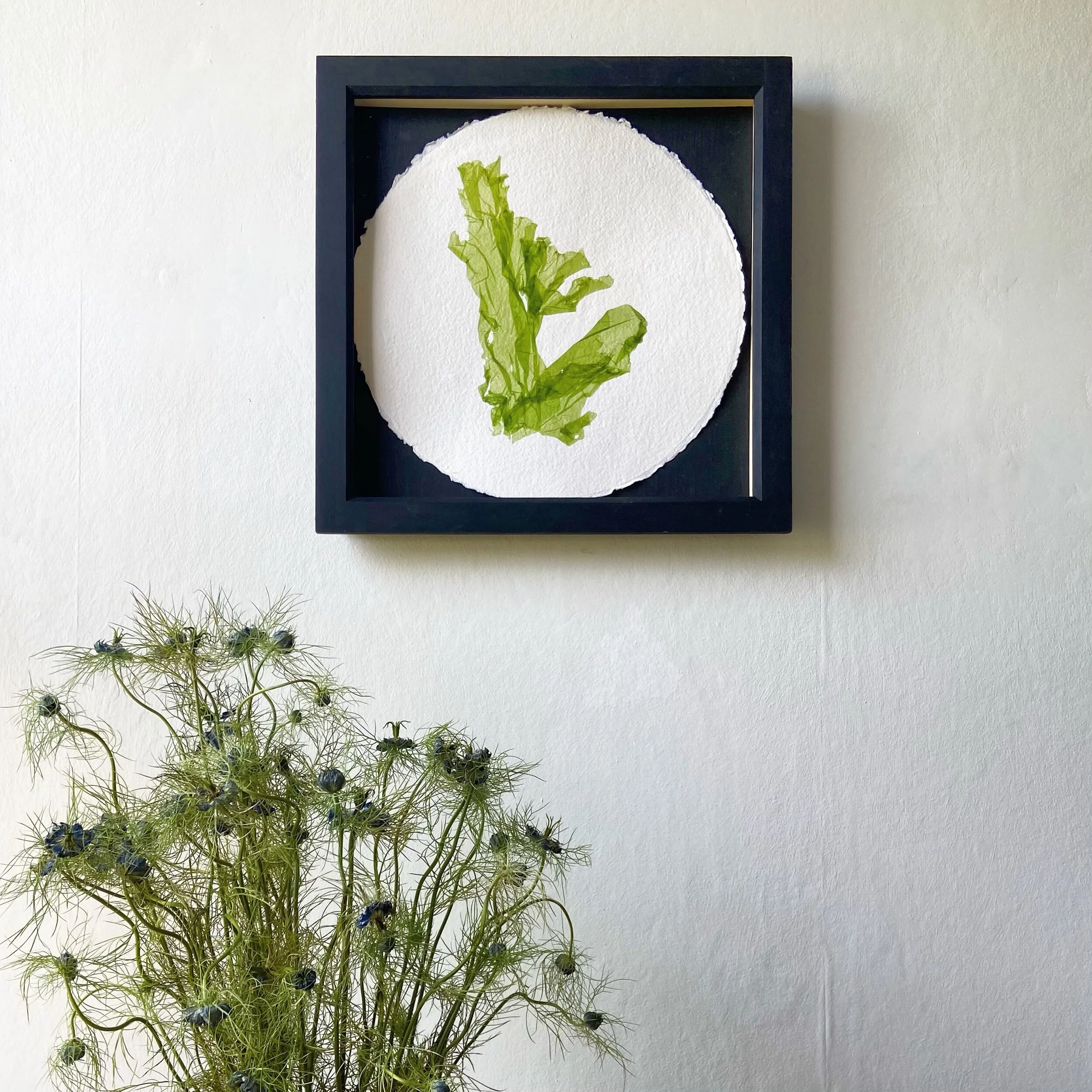 500514C9-078C-462A-8FA4-7E970FC8435D