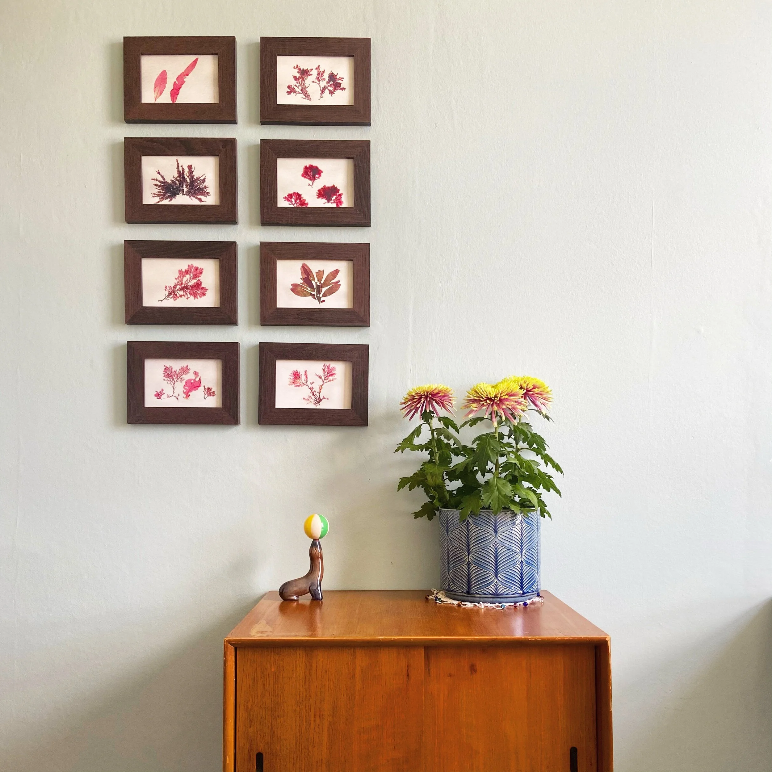 A9EAA2D3-86A0-48D6-8596-6A3A2A07D3C2