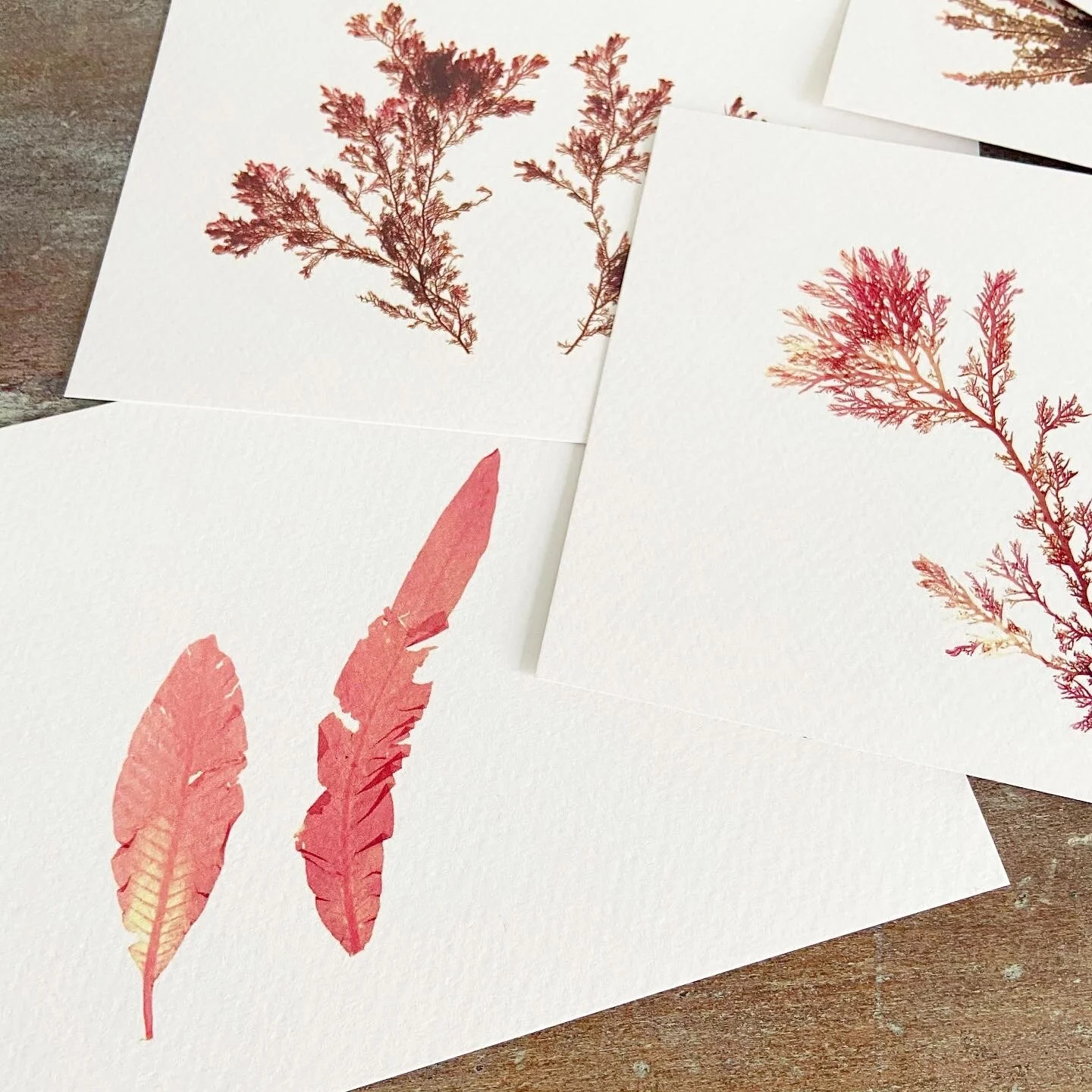 25AFFBB7-FD99-43C7-A177-758F3D849C0B