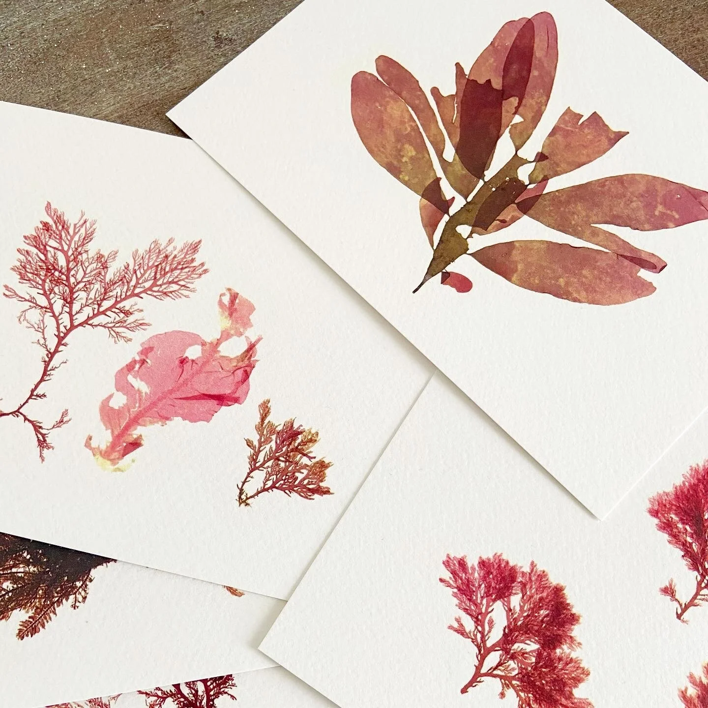 5778A5DA-9BCD-4CF2-9D70-B38C7C892B3D