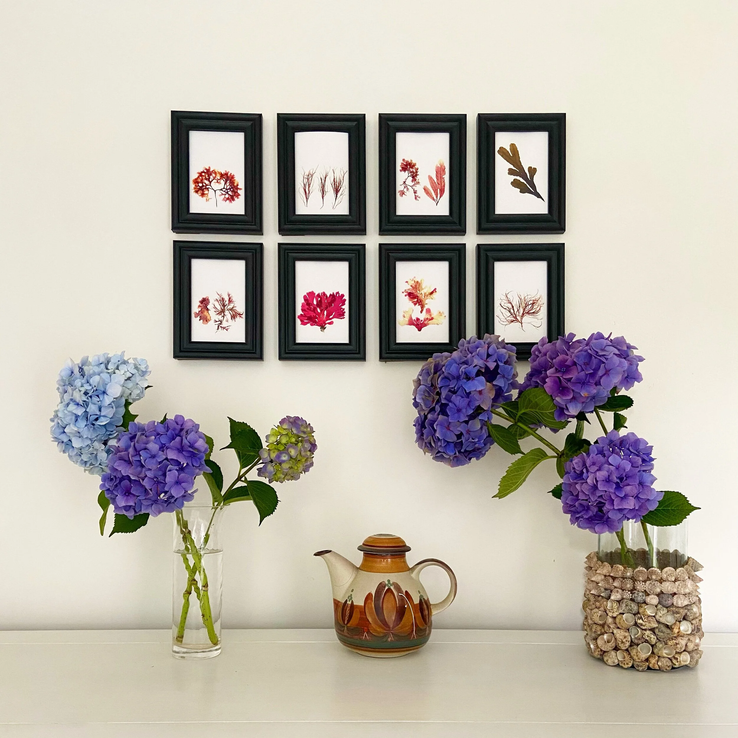 AC20AE74-EF8B-45D9-B7B4-144159E73078