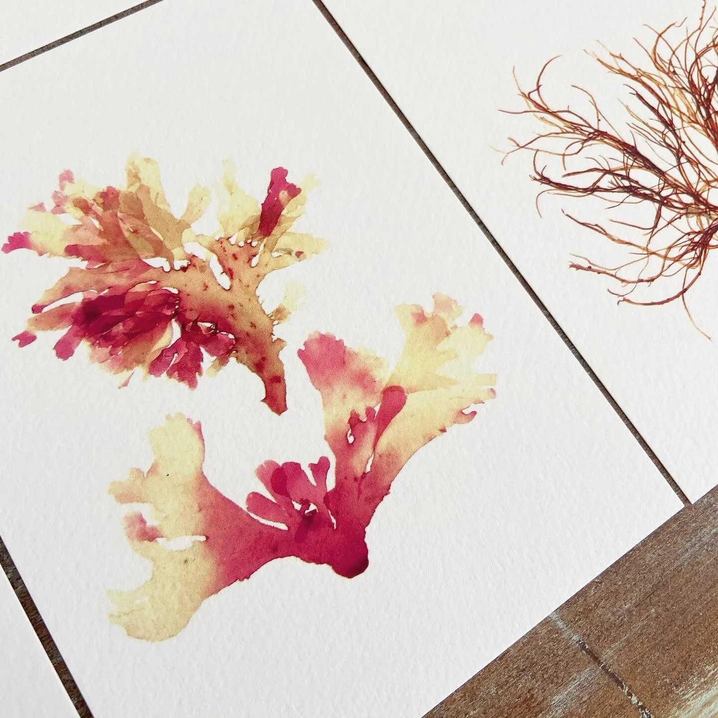 8F631EF4-14B1-463C-A28E-6951B862556F