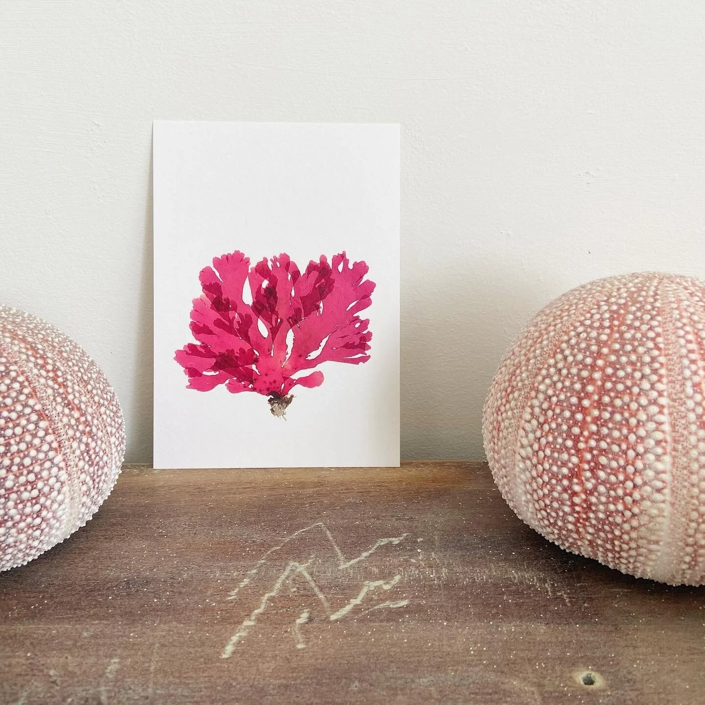 53DD36DF-0577-4CAB-BA4C-7CDB0E5679A0