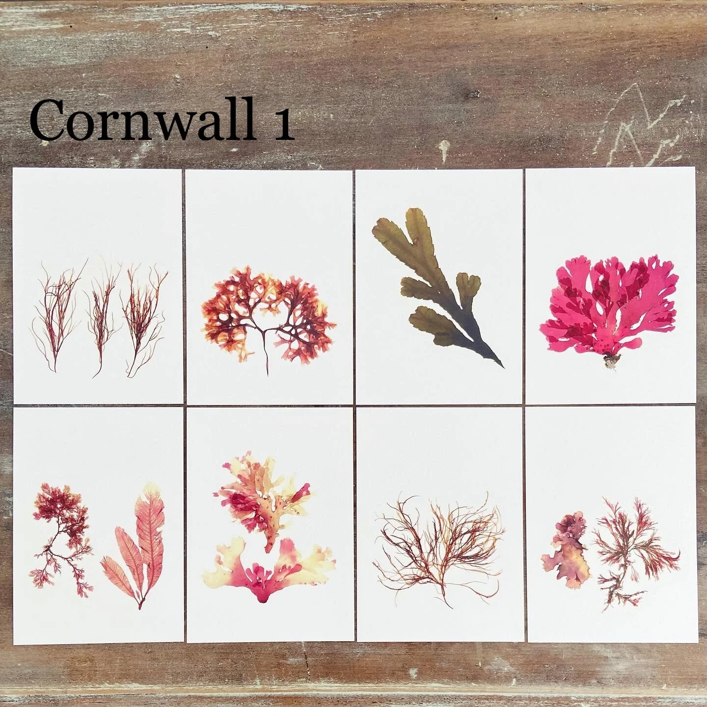 47B1C181-D60E-4832-B6CD-ACB717CA3EF6