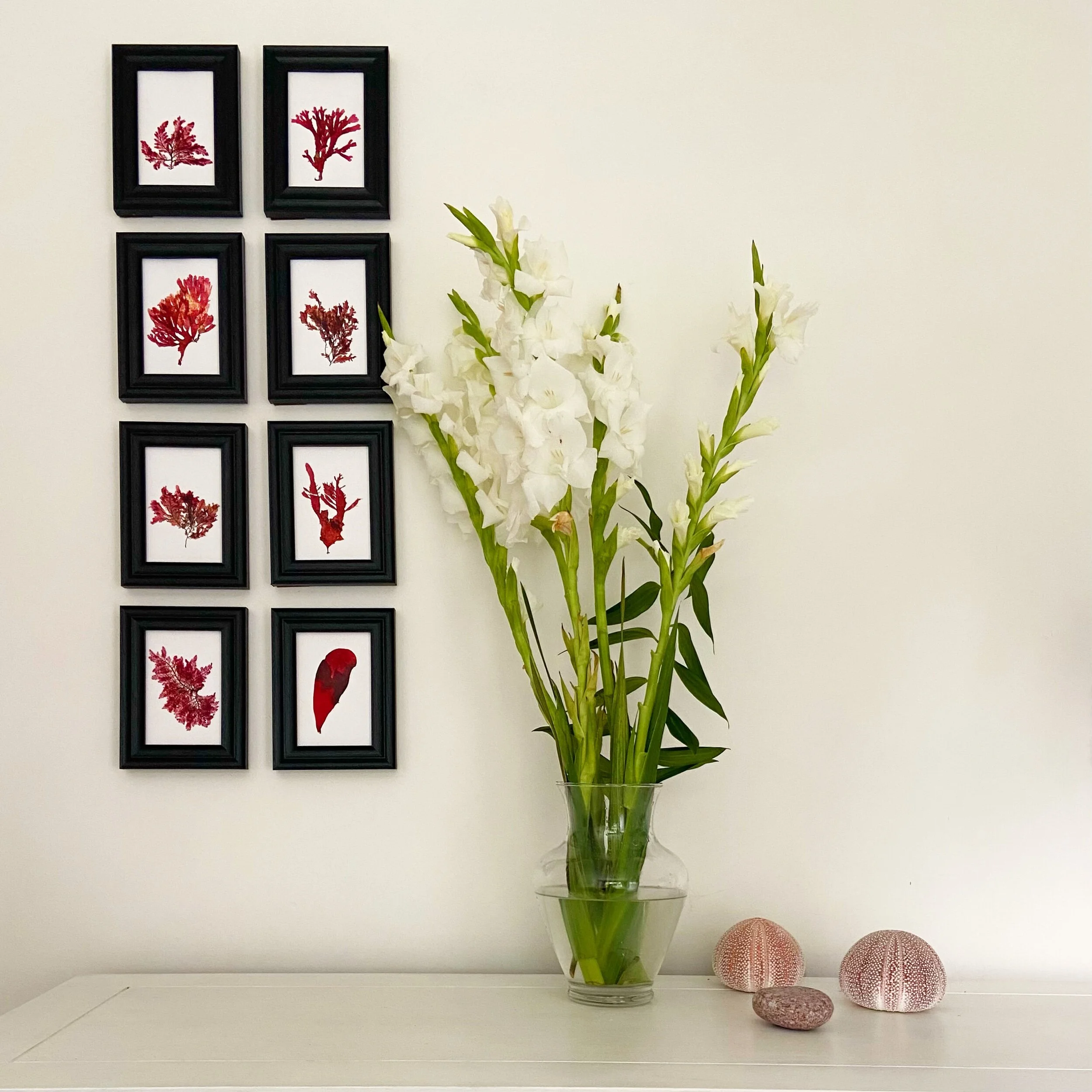 3EC961EF-9608-421E-B91A-2200347B1583