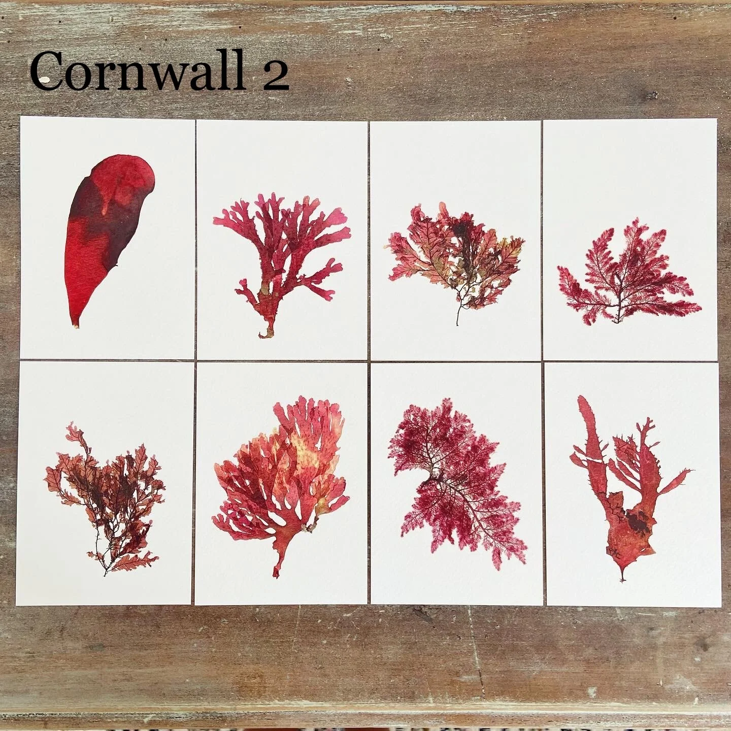 5CF892D3-09B1-41BB-B329-3C569F0E4CCE