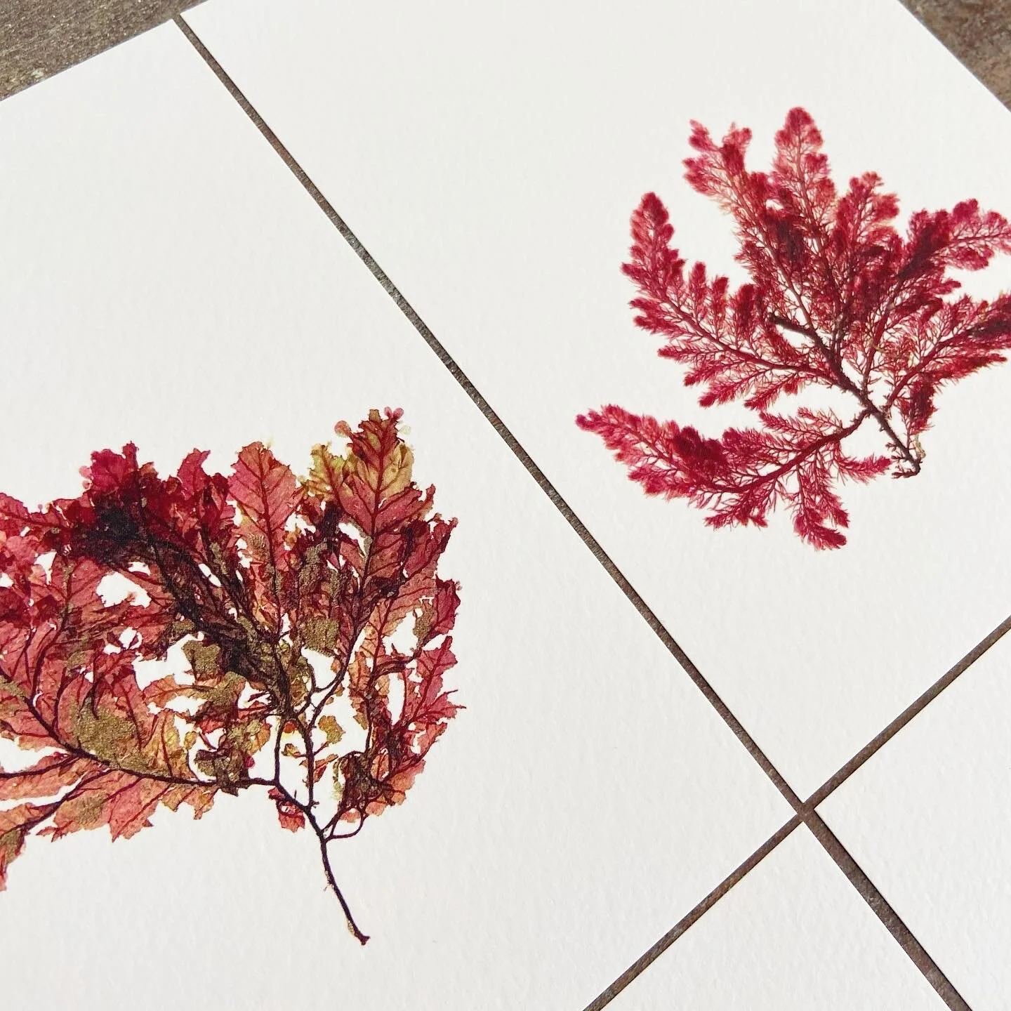 3DD31FC3-1EB8-4384-8F1D-3902324550CF