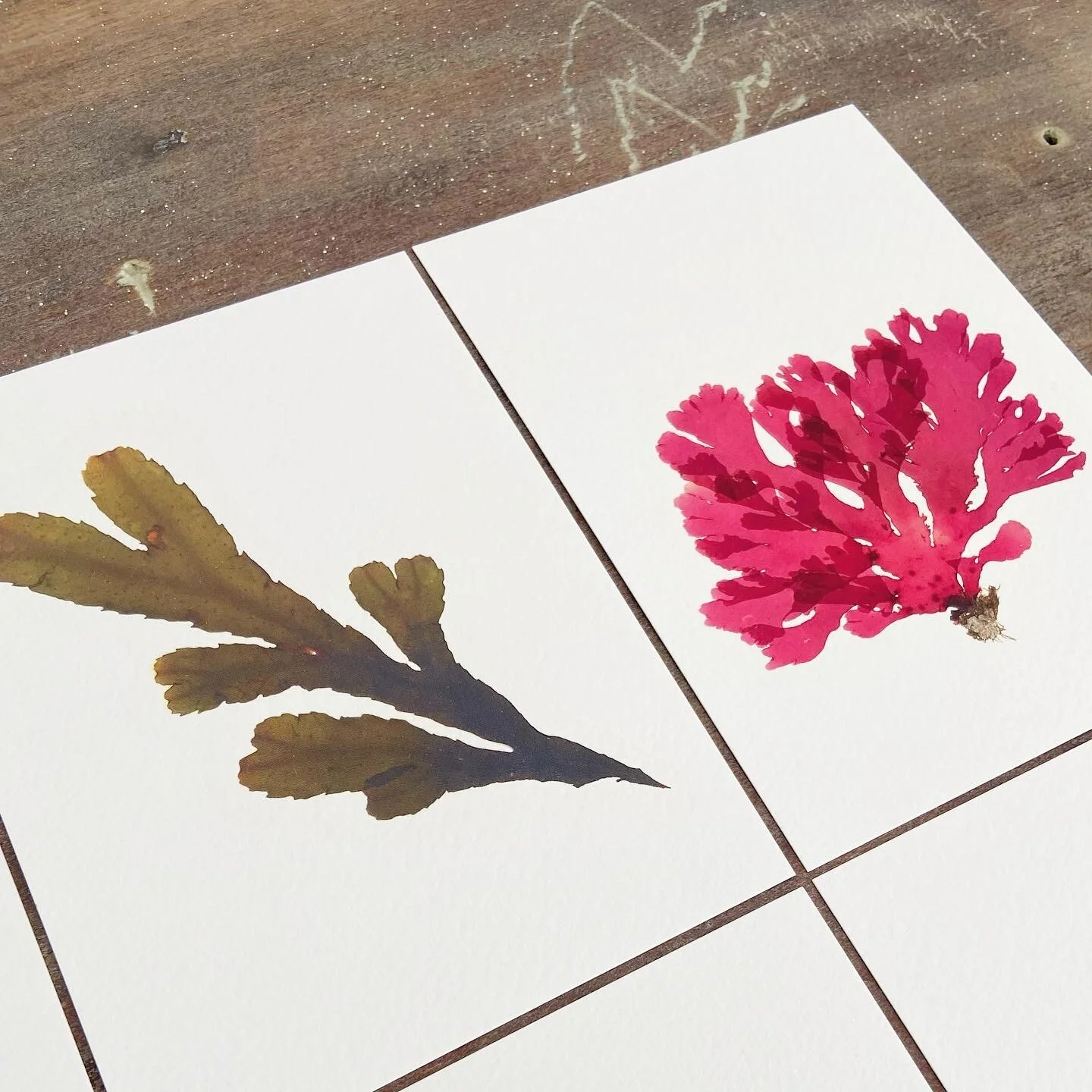 8272ACC3-755F-4A7C-990B-764CAC41A609