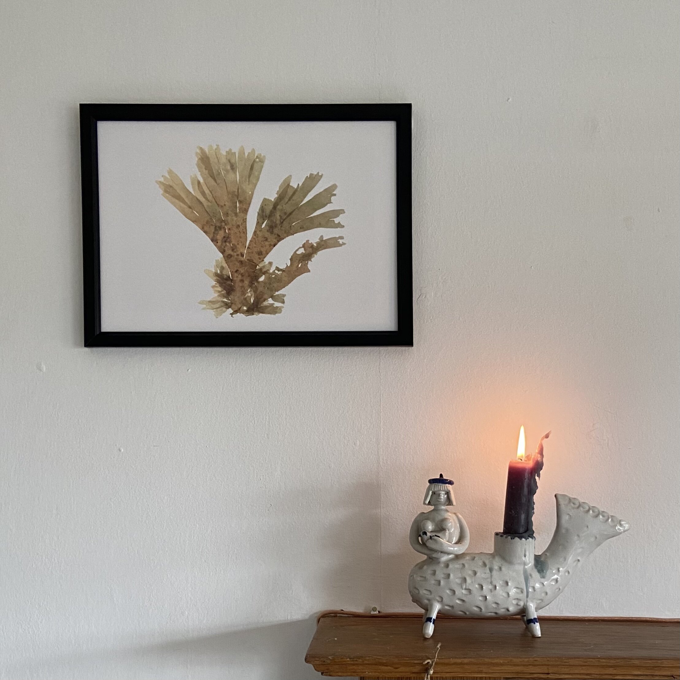 2707640D-5849-4473-BA4E-051FA5304356