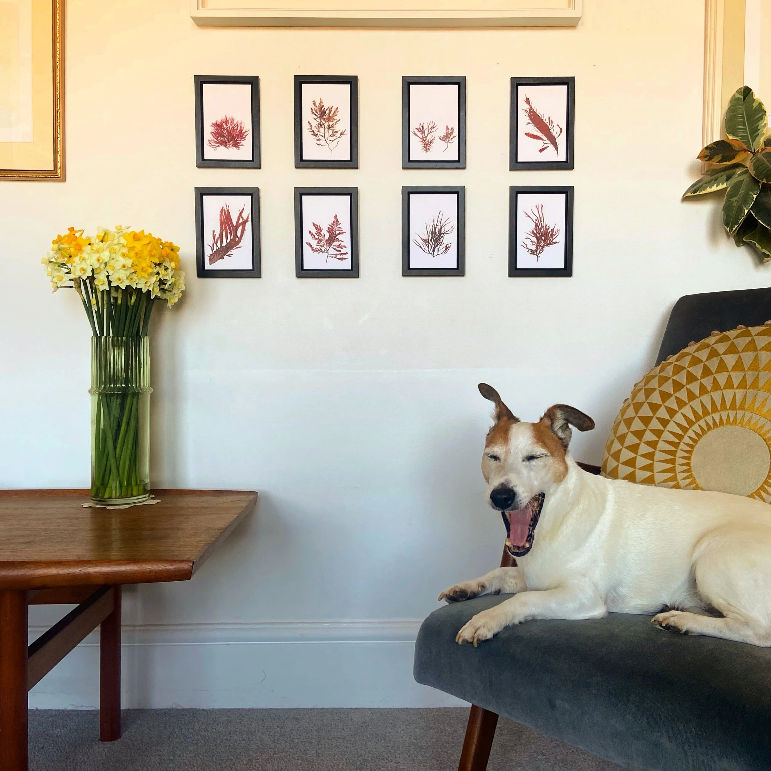 75AA1F99-36A8-4572-9C80-C82ED139488E