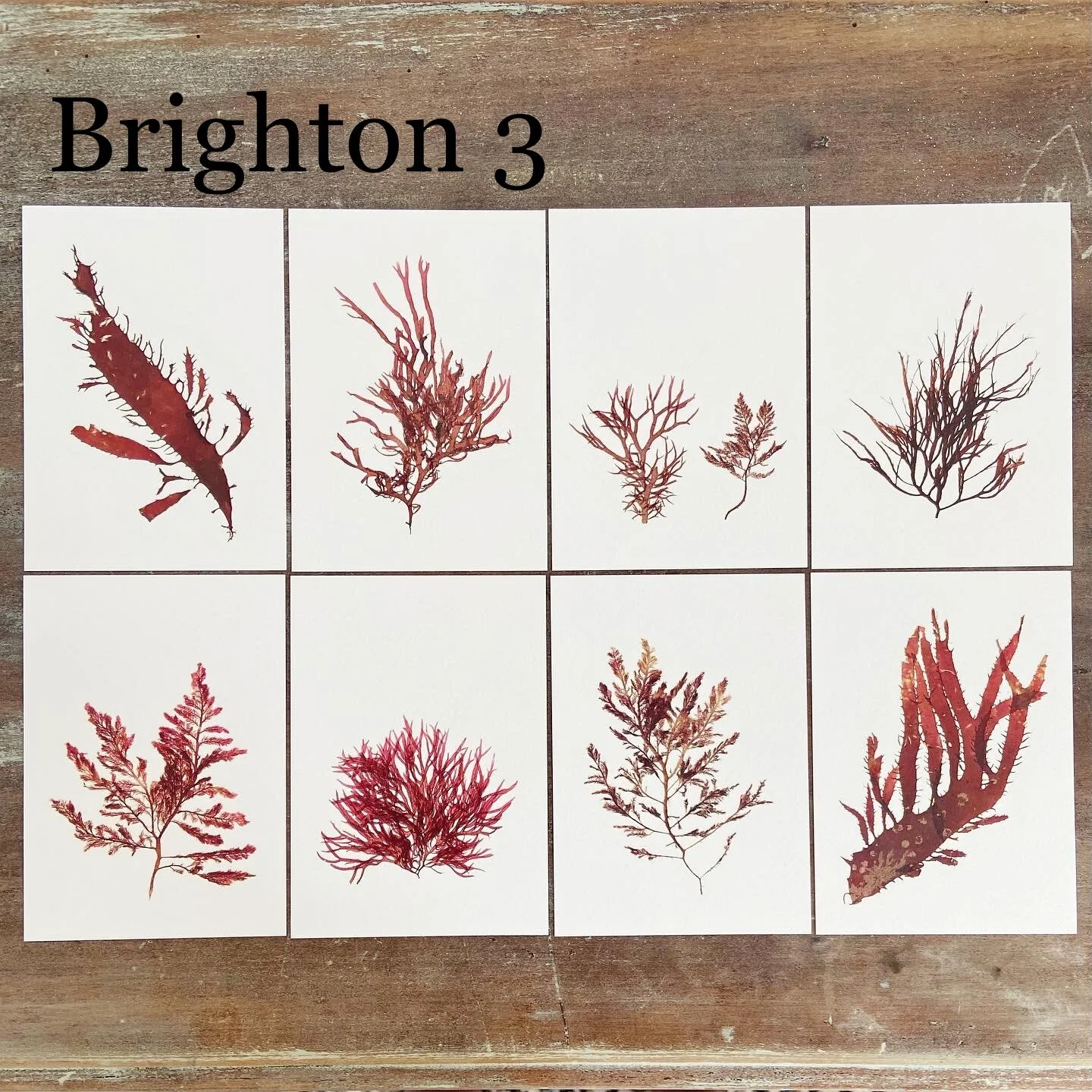 B091162F-2BCF-4806-91D6-1F5BB58A0DBC