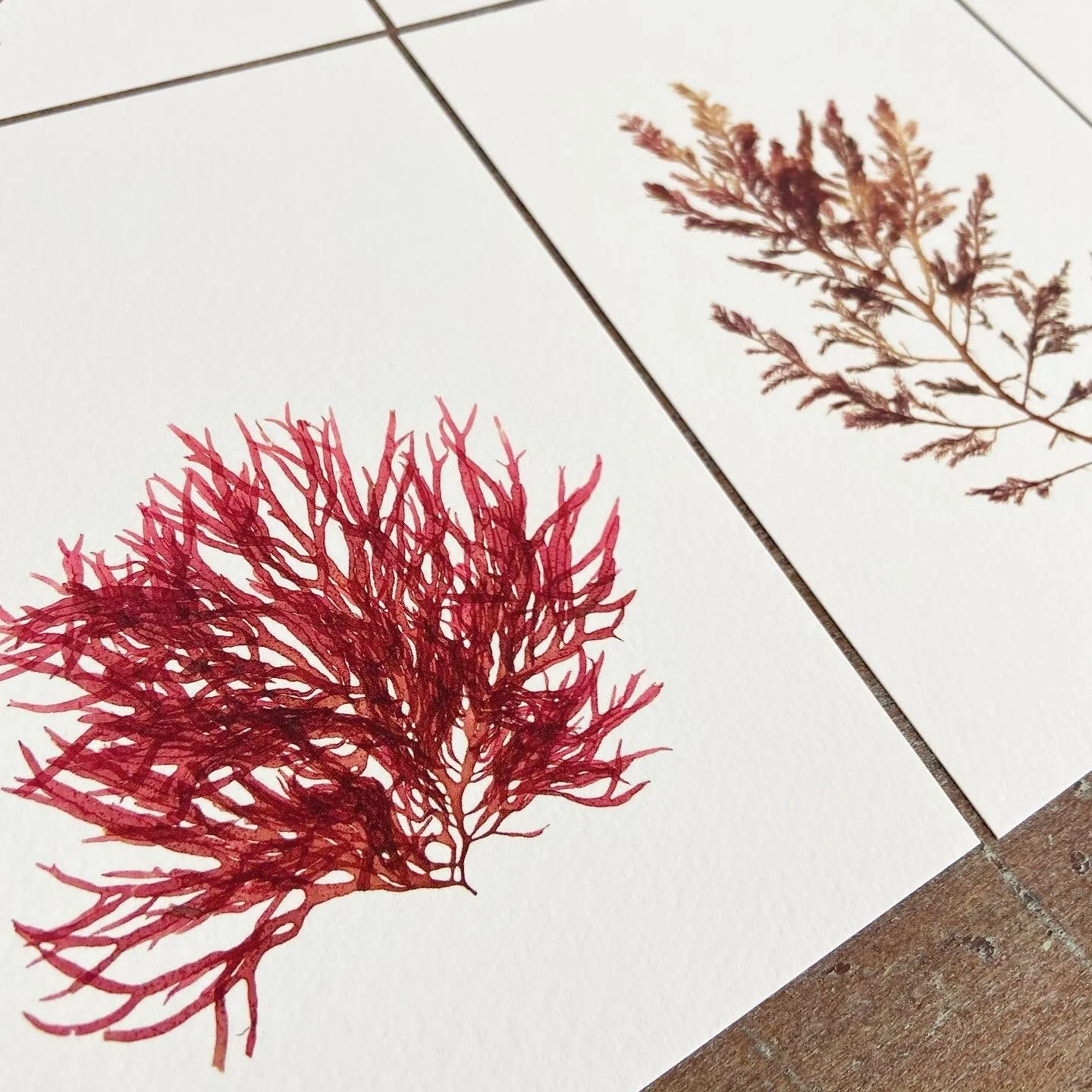 1DC8A6EC-C602-43BB-AC81-3FC95640B8B5