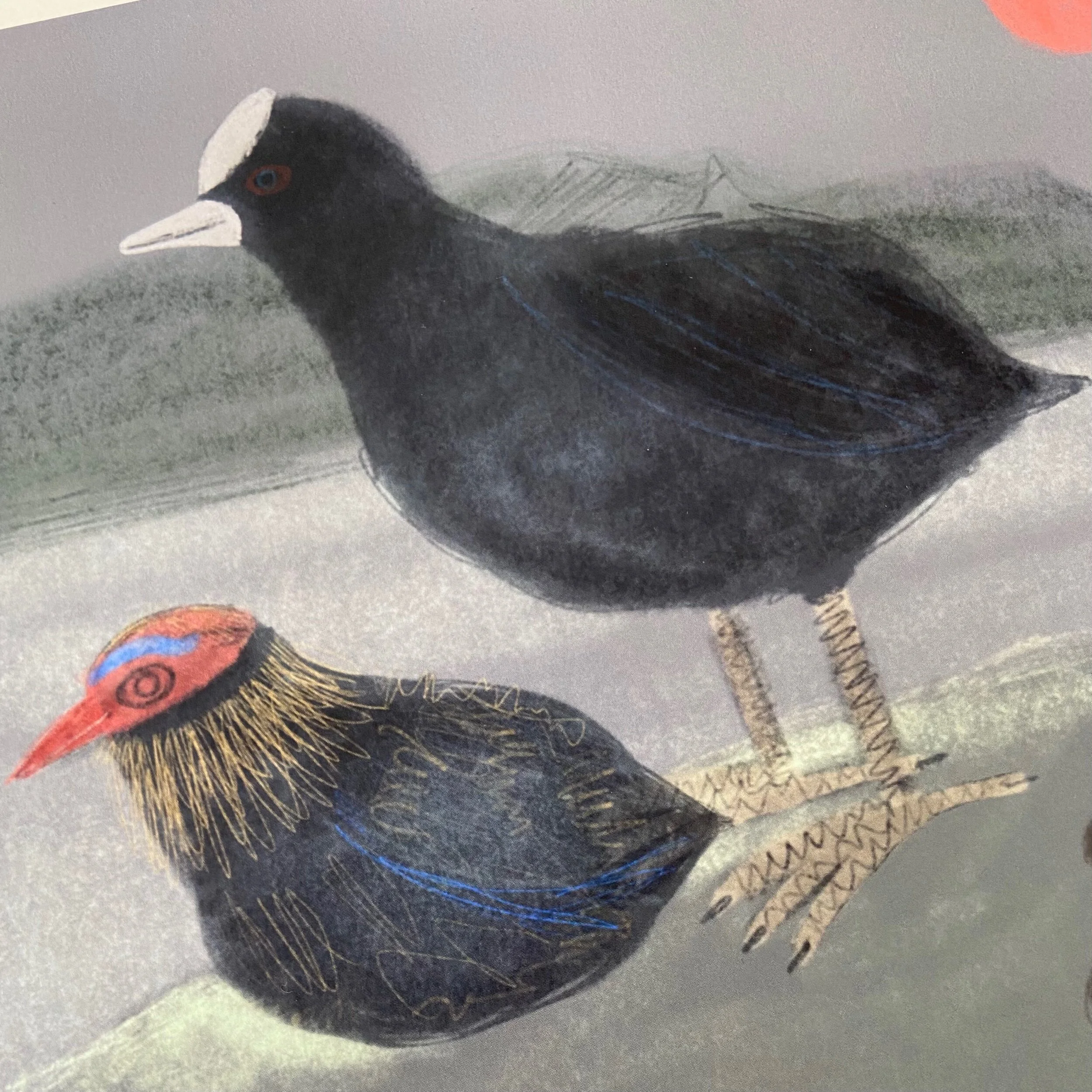 AF9227BE-48A5-4EE8-8980-C0D8BC32EFBF