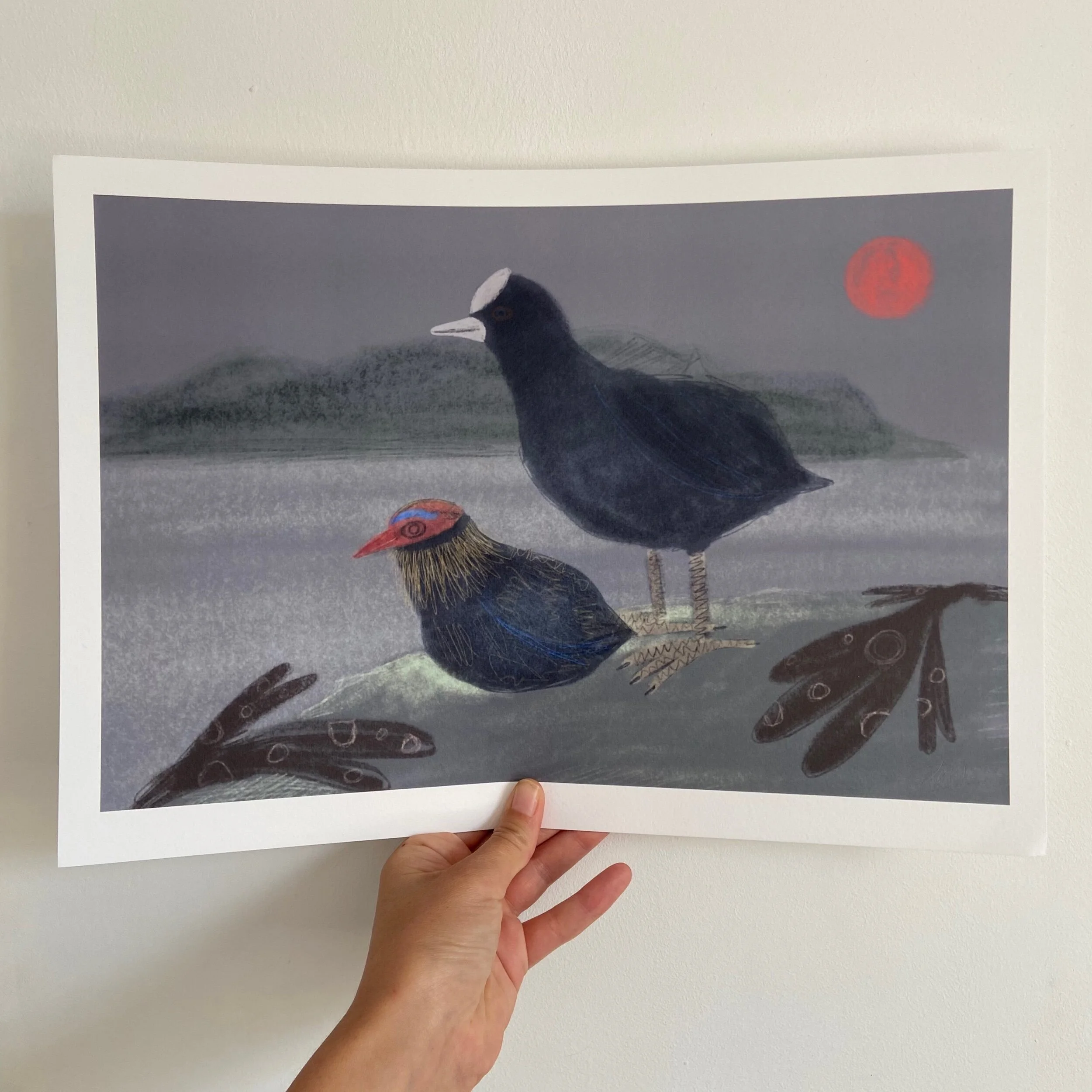 BA9C49BA-003F-4558-AD48-DCDB84AEDC72