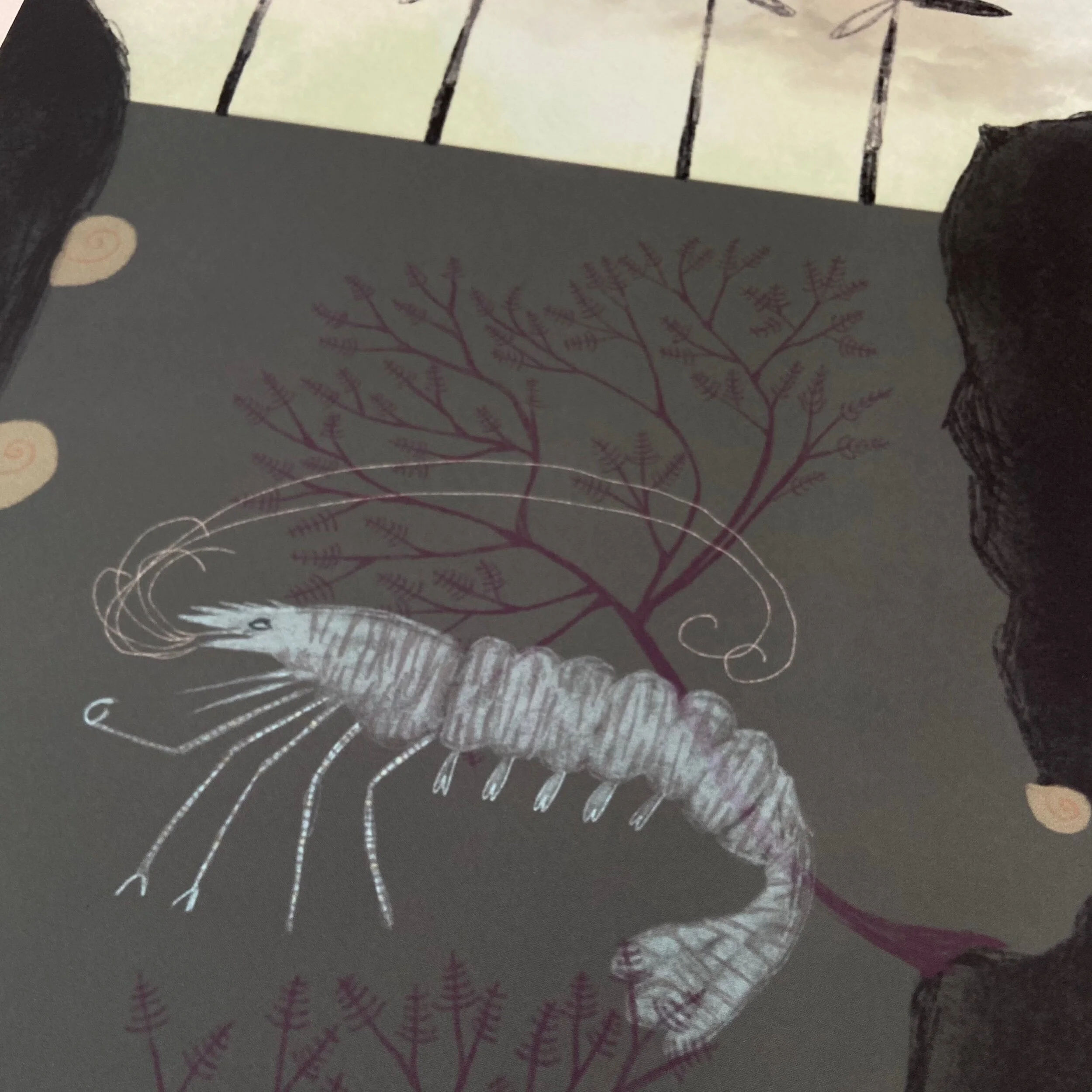 5AF3A9D3-6325-4527-B92E-76BD9054B671