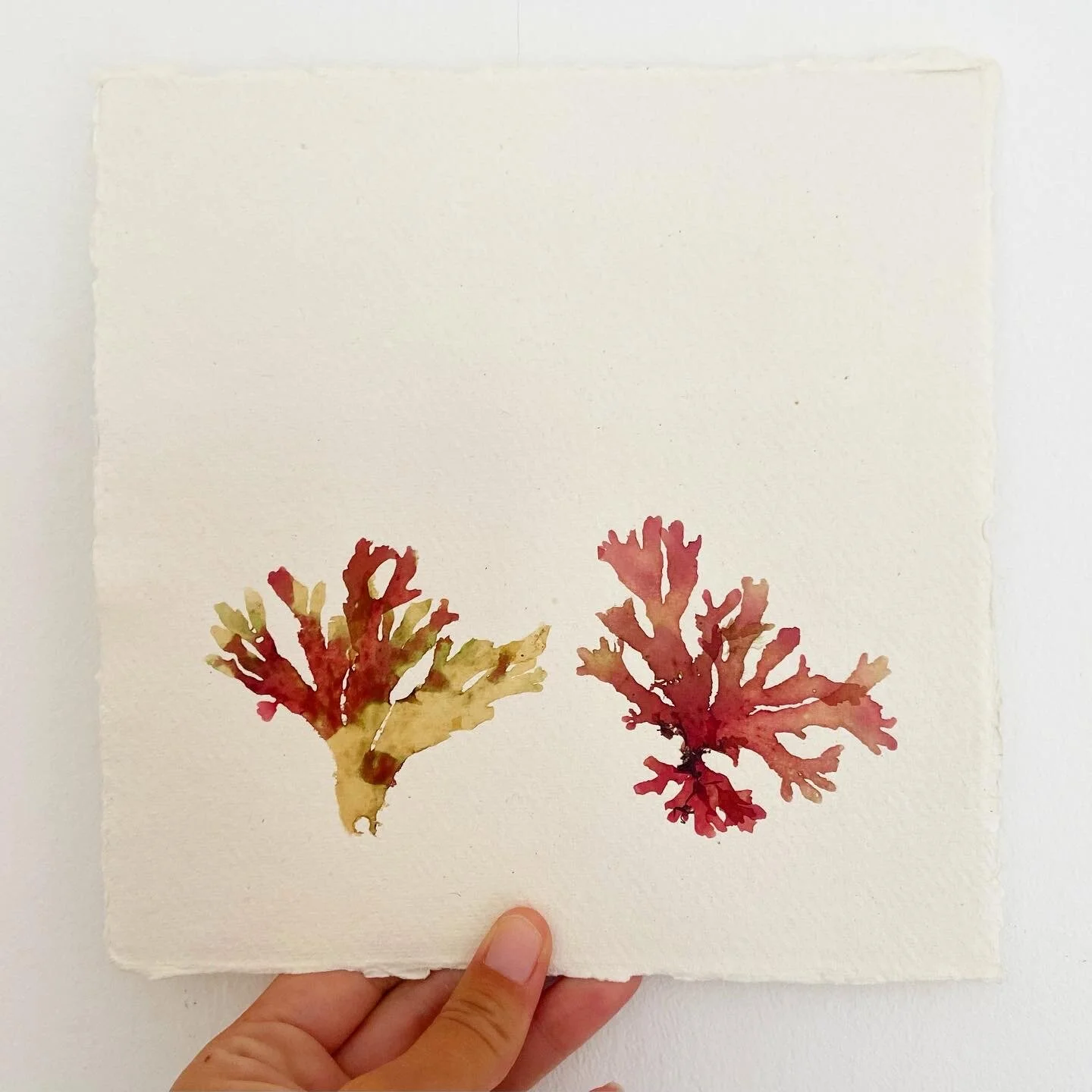 69944CF7-54F6-4CE5-B139-71395E98BEDB