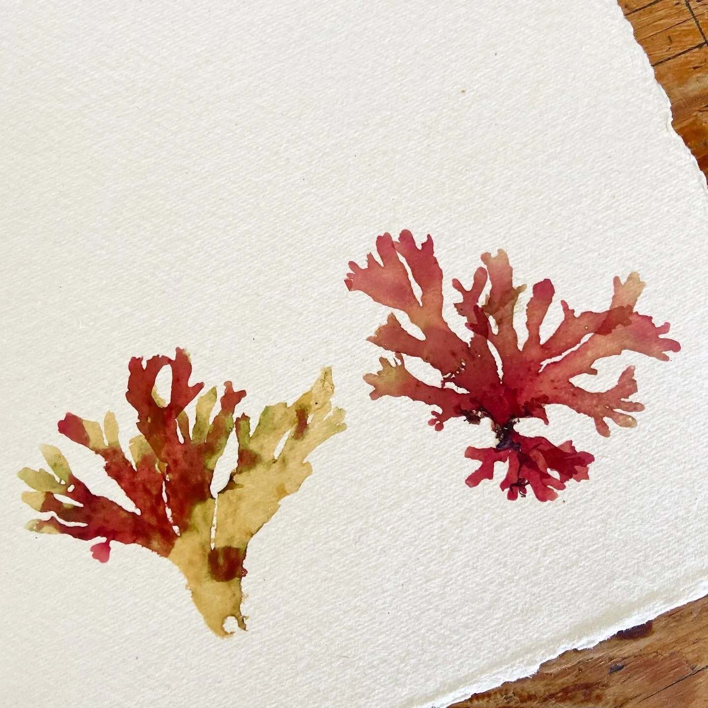 5649941F-C69B-4B4A-B3CF-BA126E2BCC29