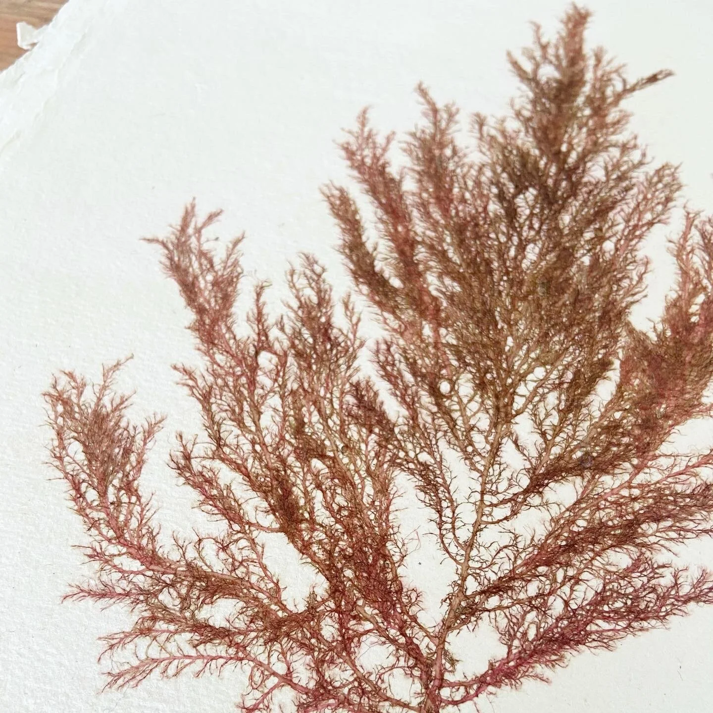 6DA8C7AC-6744-4FB3-93F6-B4DA5EA2F75D