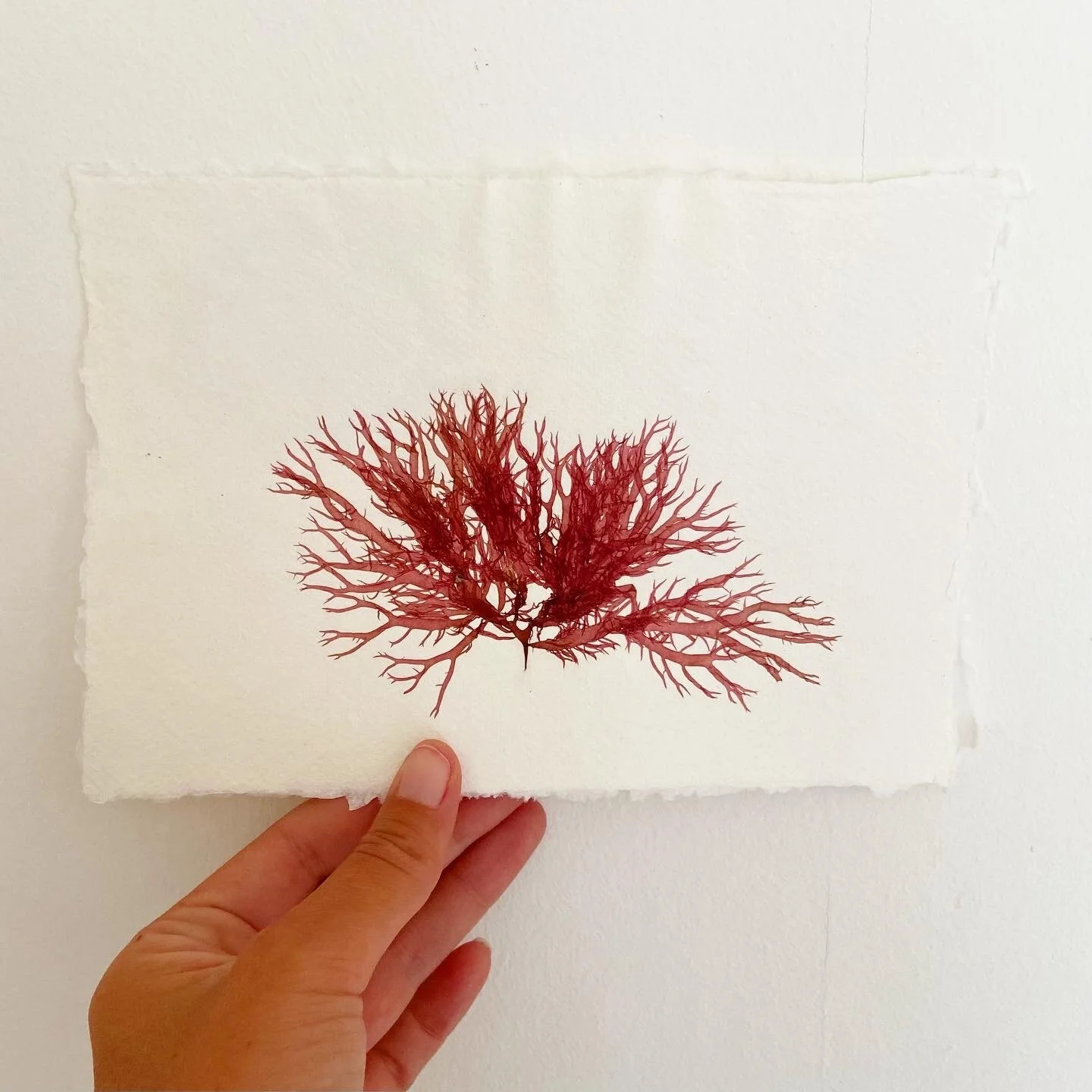 562FC7F4-8719-41CD-8867-4B45CA1EF968