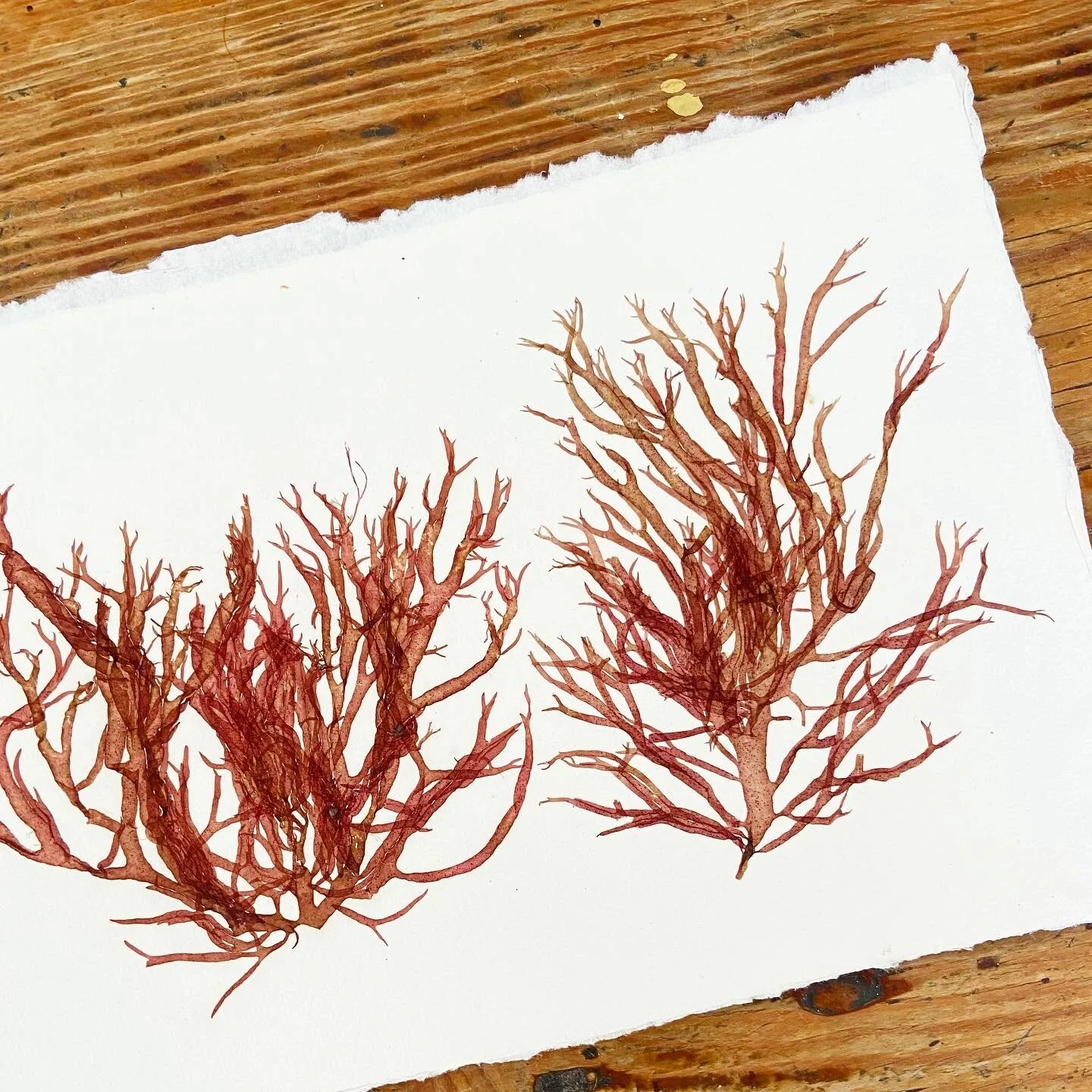 4BC75F21-FF52-42E2-B78F-0E6C578DA313