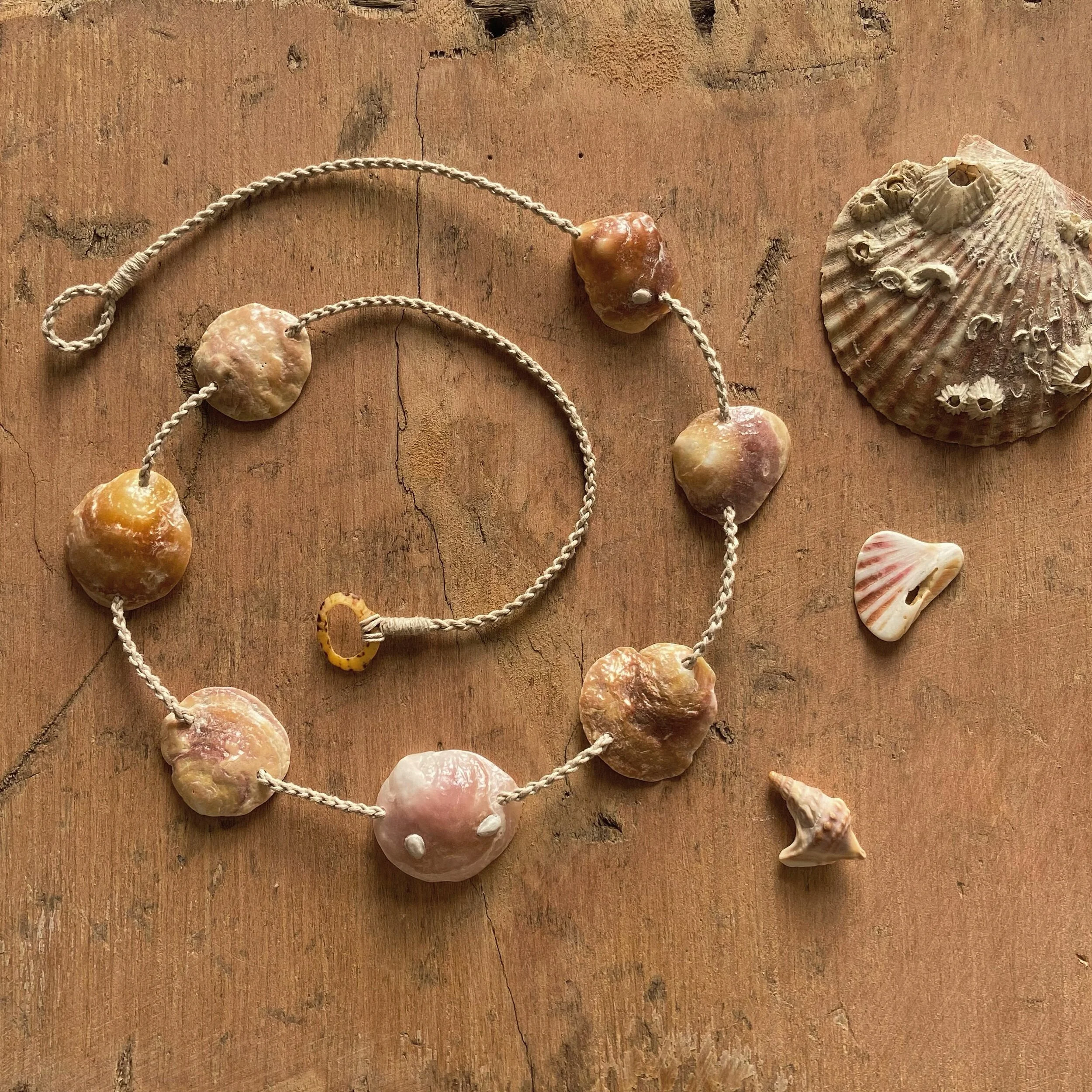 B66AE823-2288-4ADB-8A6D-8FD5CED3BEBA