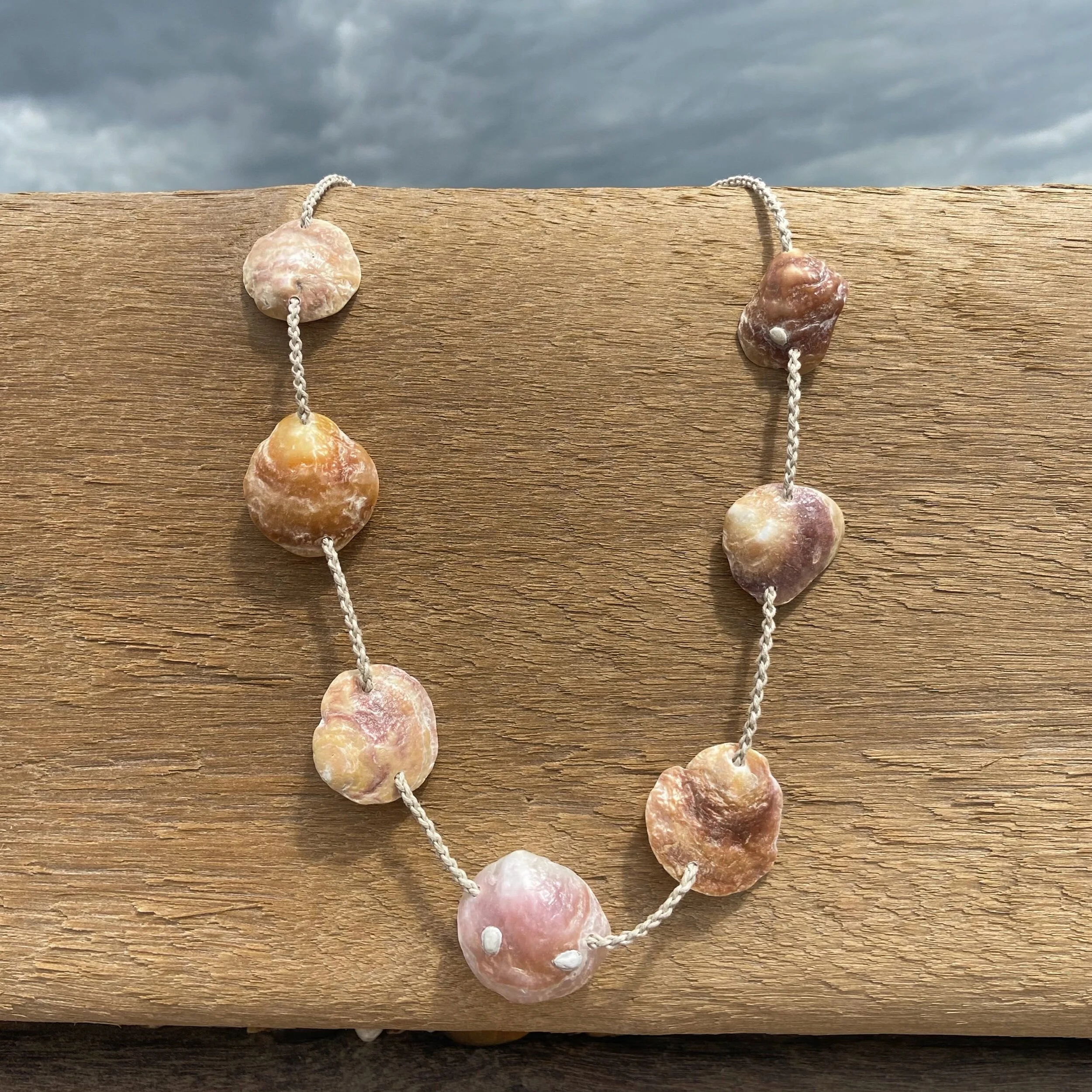 13334FDC-1521-47B1-8576-A2F5F664C0F7