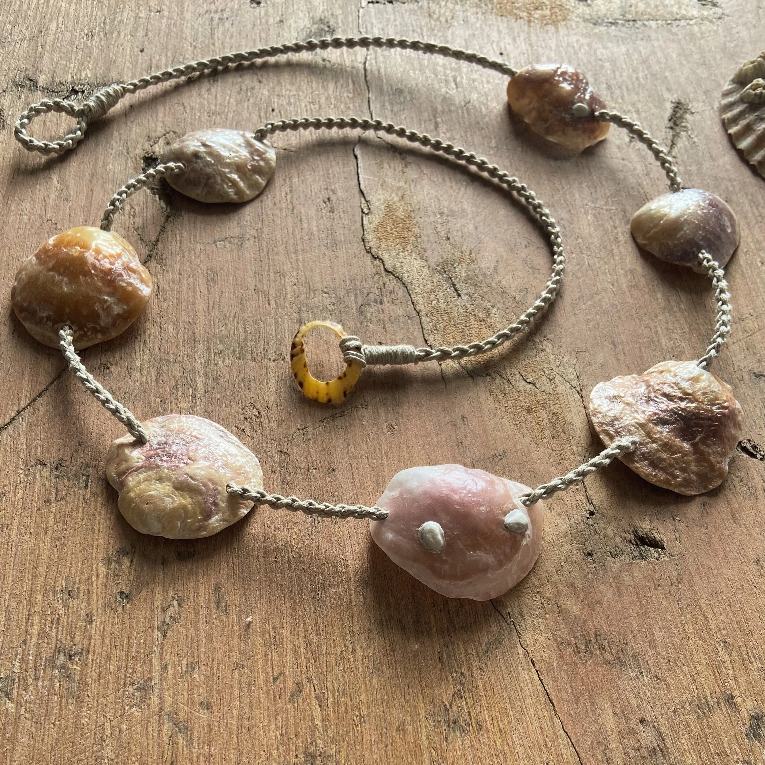 C07A46D8-BF8F-4CFD-ACE5-1E4F8C39AEEB