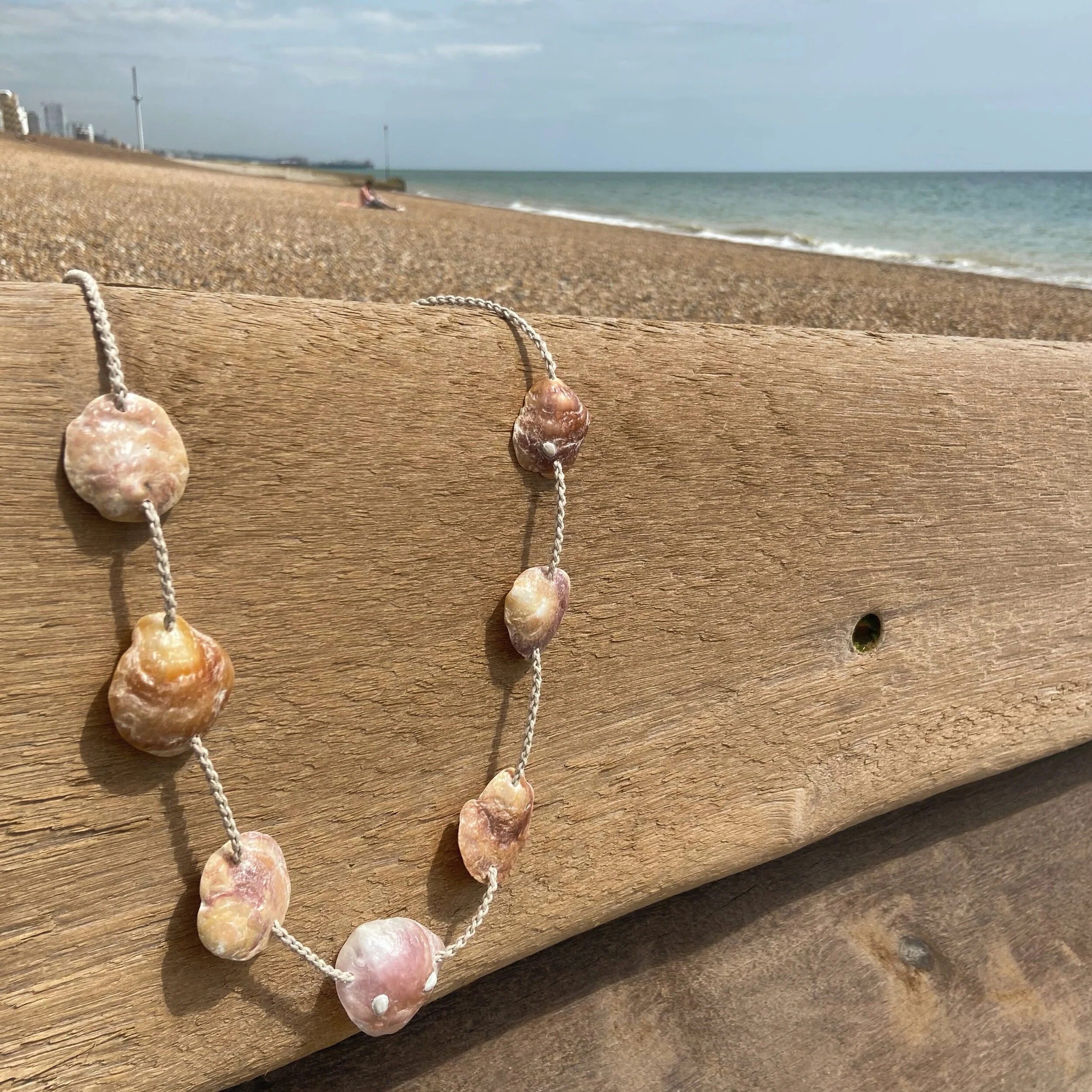 BE507599-1418-49DE-A2B3-B55022371534