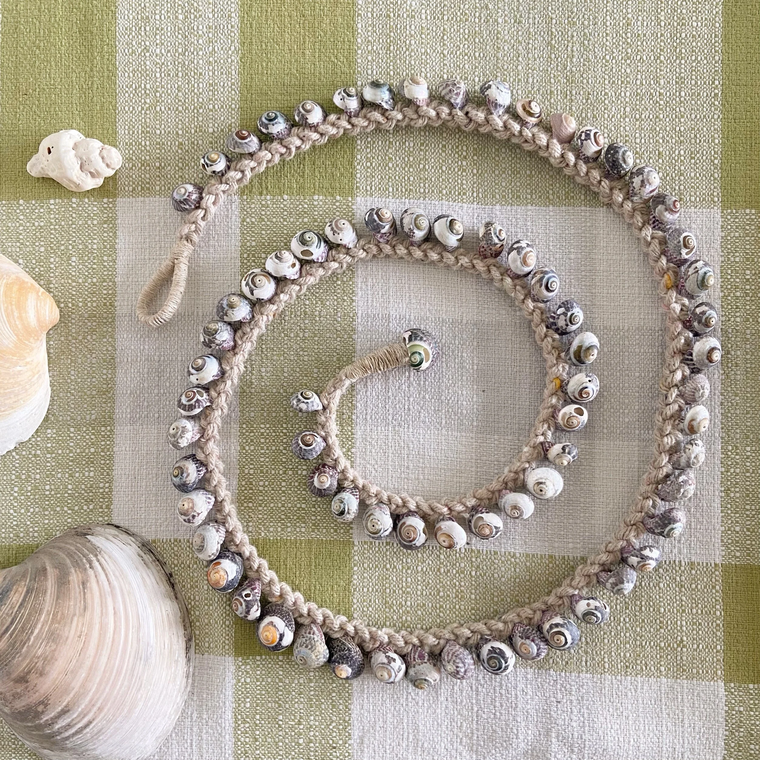 E6B6AC7D-1A14-432B-8058-D7BFB82FC21E