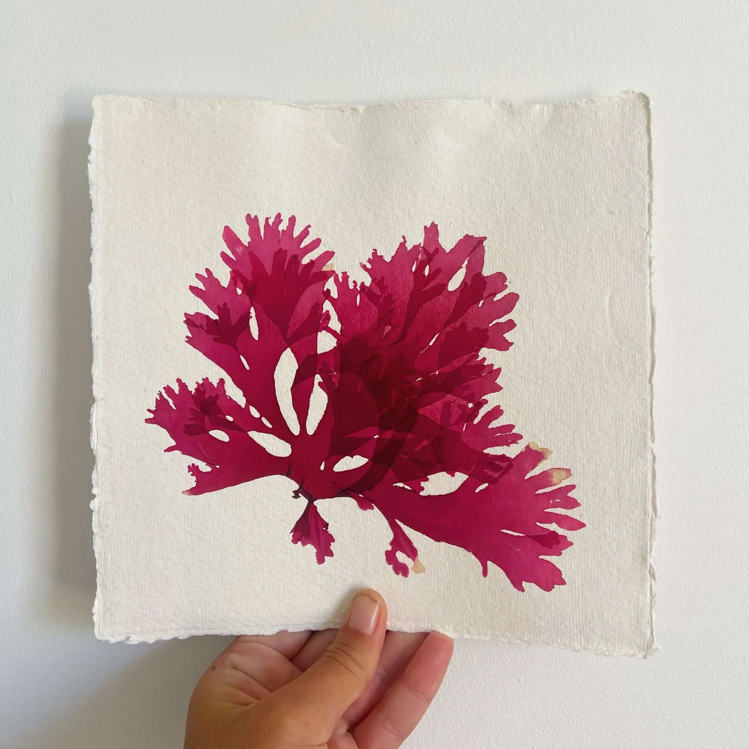 D4CE413F-AFC5-44D5-B32A-41282FAE60F7