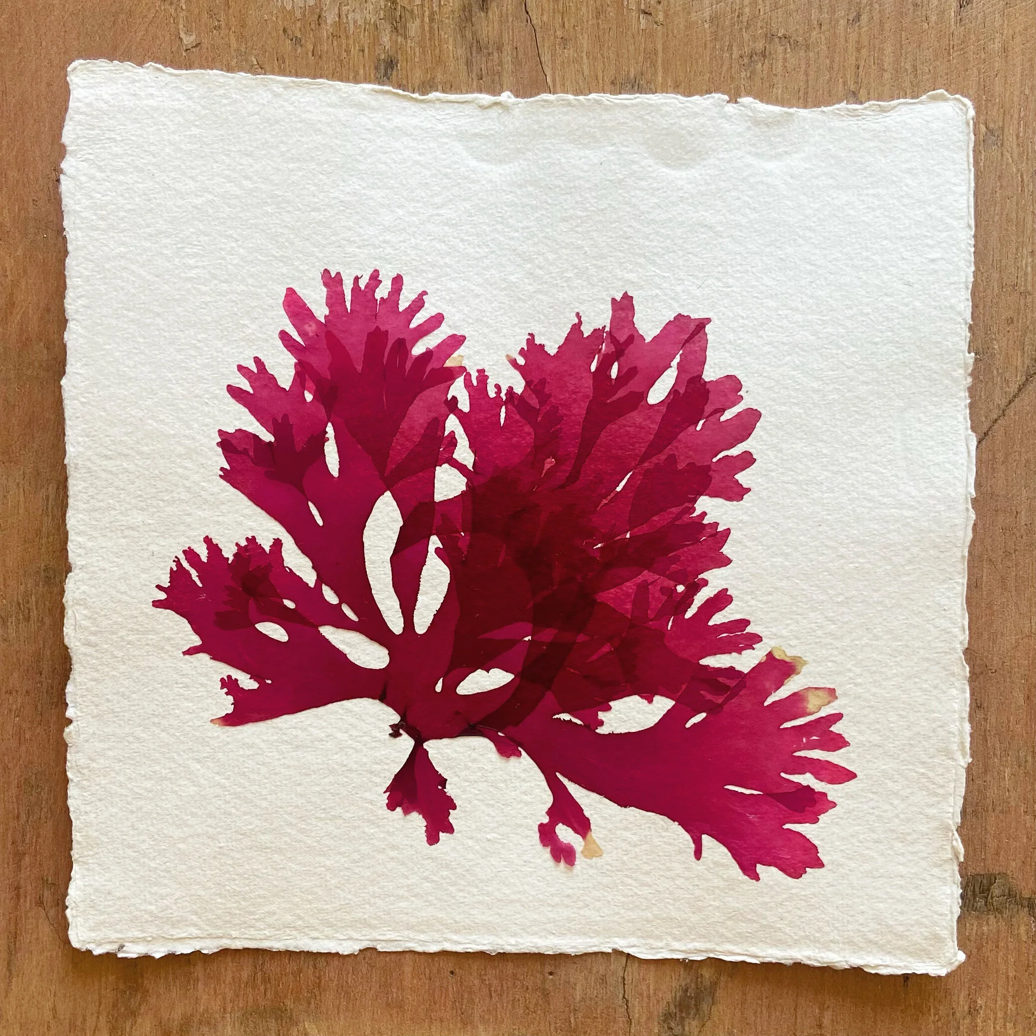 F7B9388E-5494-4C01-AB31-5344936225D3