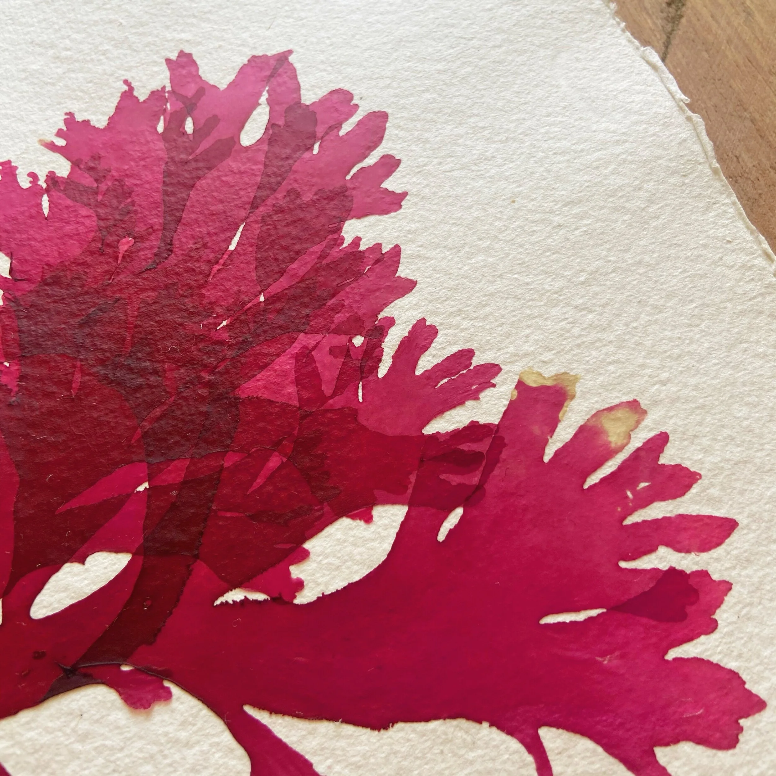 612D3C22-8F23-474A-B42C-DF408A0FD9A0