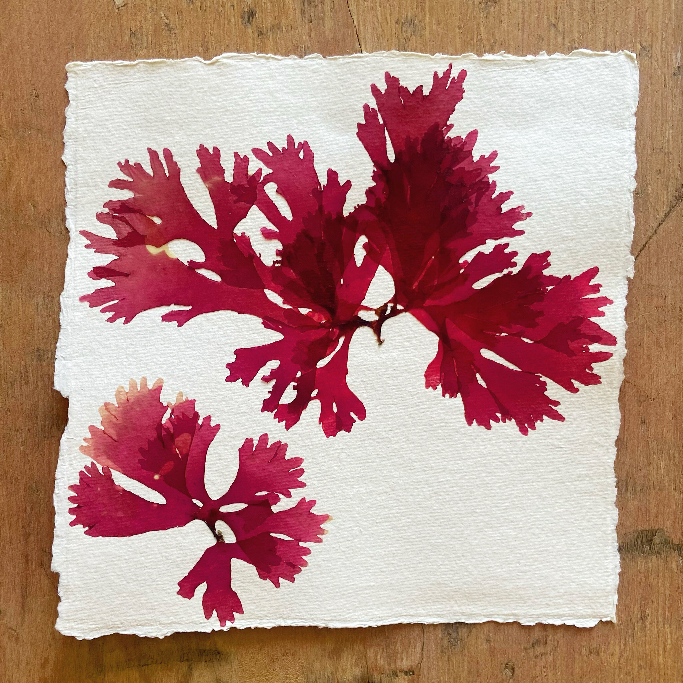 C3976308-5815-4C9A-8882-60BA063228D4